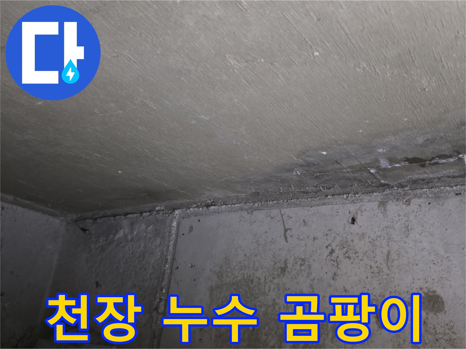 남양주 오남리 아파트 천장 곰팡이 - 심각한 누수