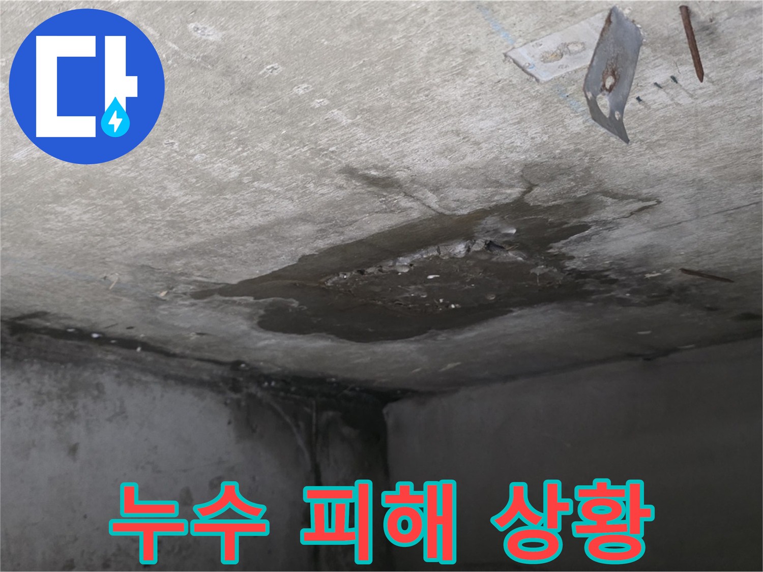 아래층 화장실 누수 피해 - 천장 물 떨어짐과 벽 곰팡이