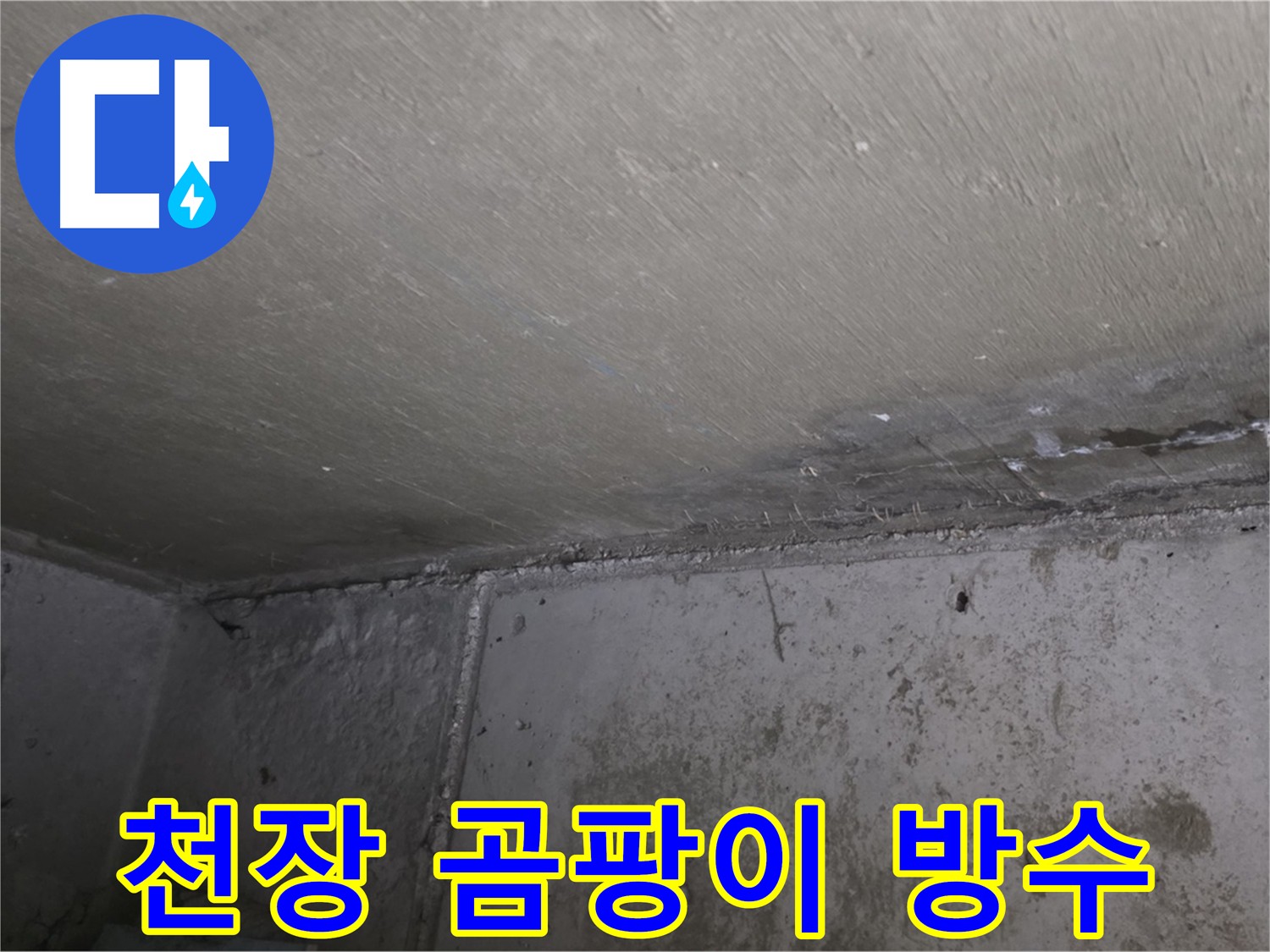 남양주 오남 두산아파트 천장 곰팡이 - 건강 위협