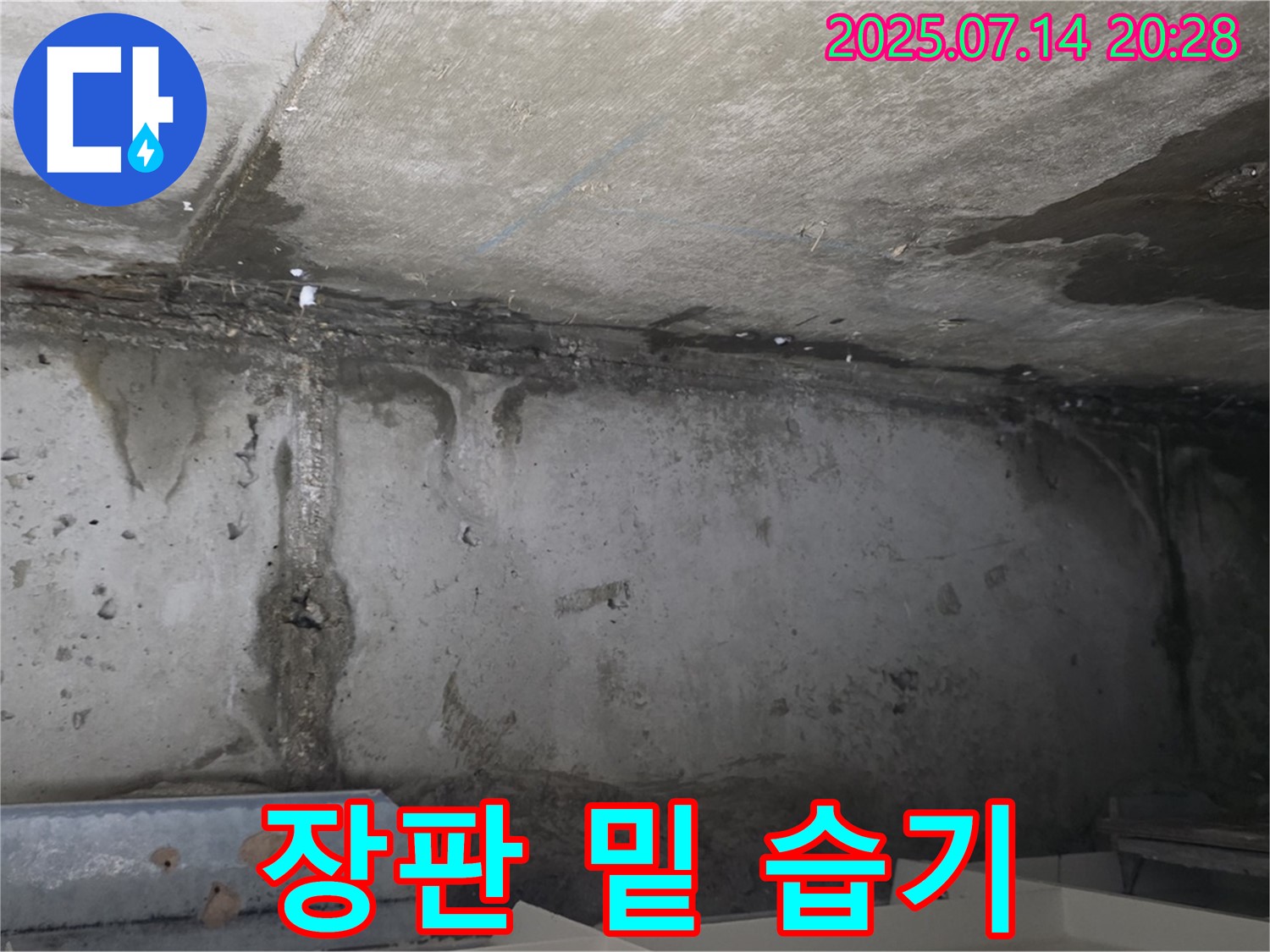남양주 오남읍 두산아파트 - 장판 밑 습기와 곰팡이