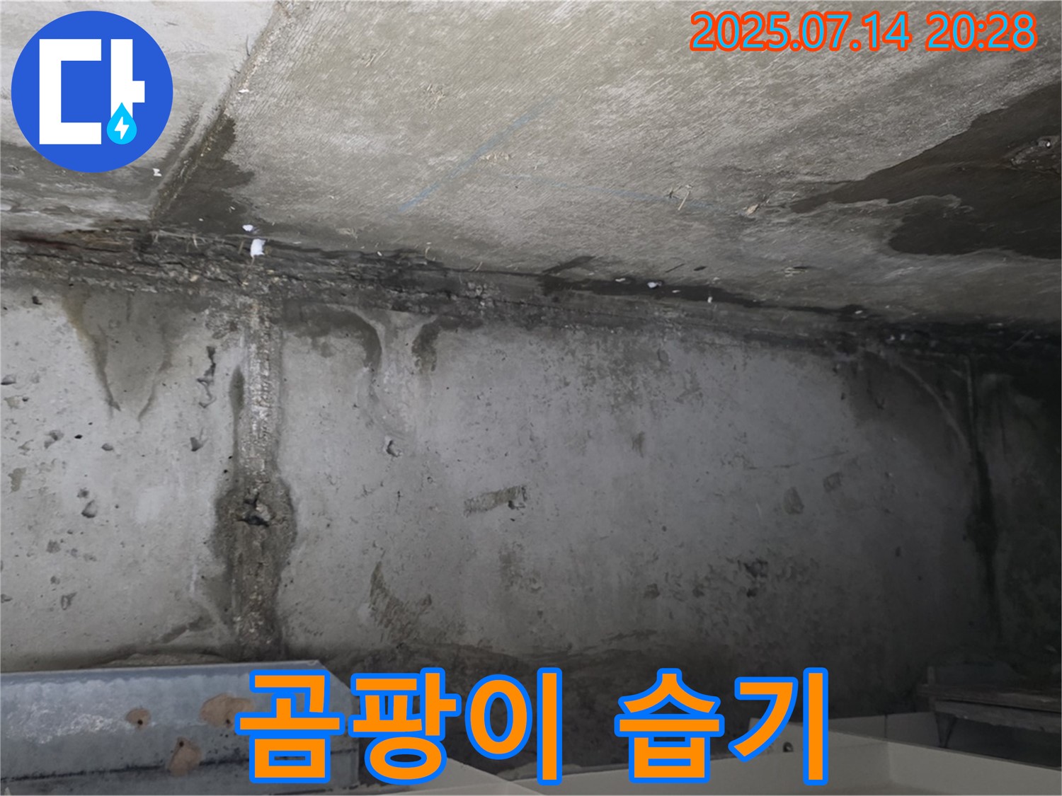 남양주 오남읍 두산아파트 지하 - 곰팡이와 습기로 가득한 누수 현장