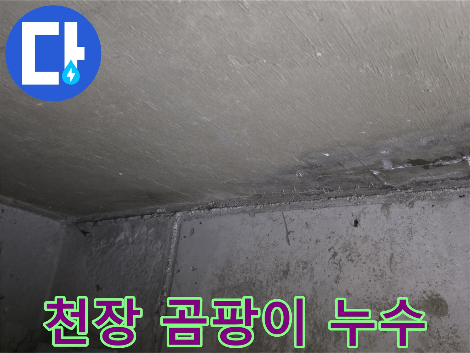 남양주 오남읍 아파트 천장 곰팡이 - 누수 흔적