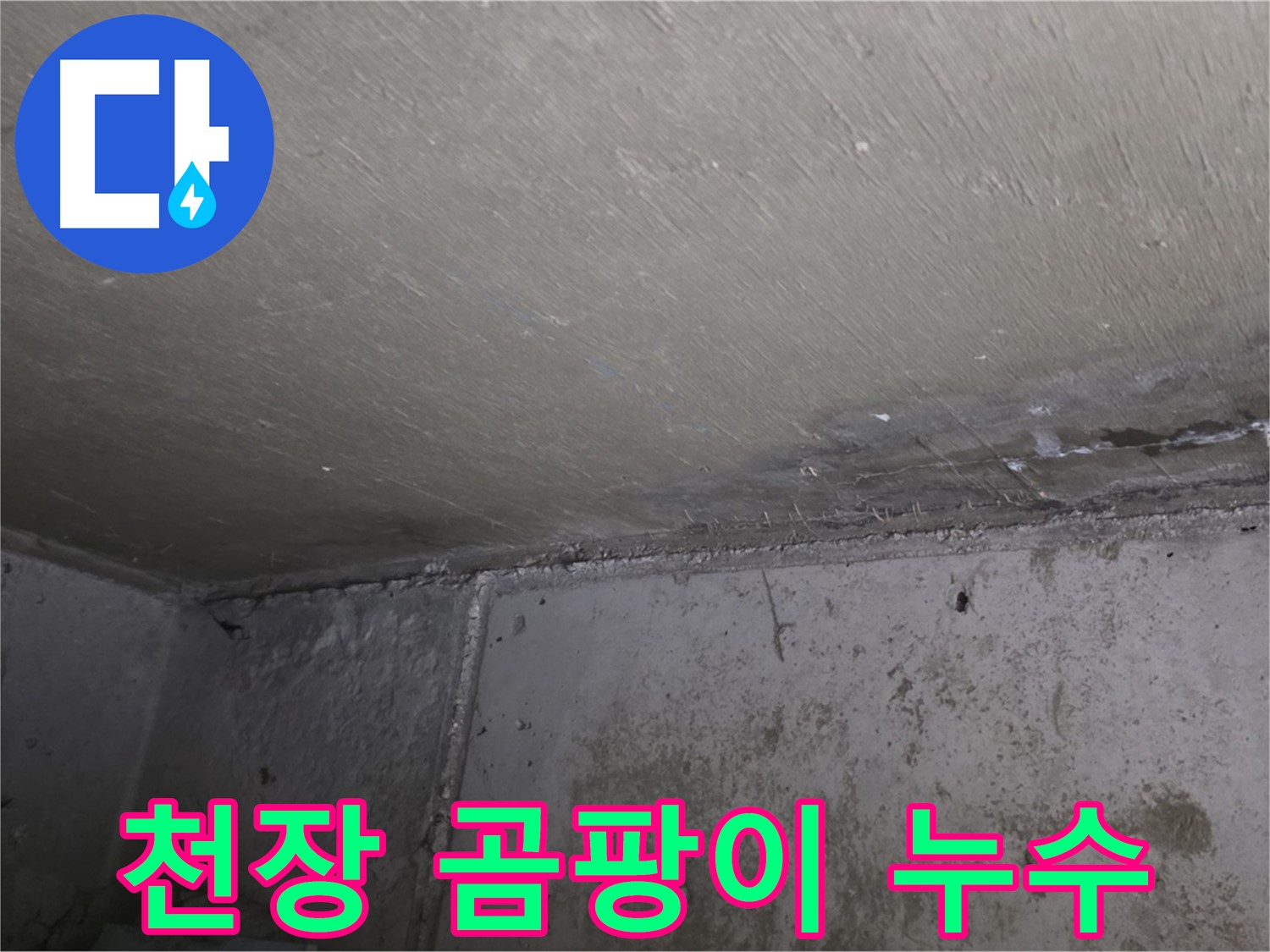 남양주 오남읍 아파트 천장 곰팡이 - 누수 흔적