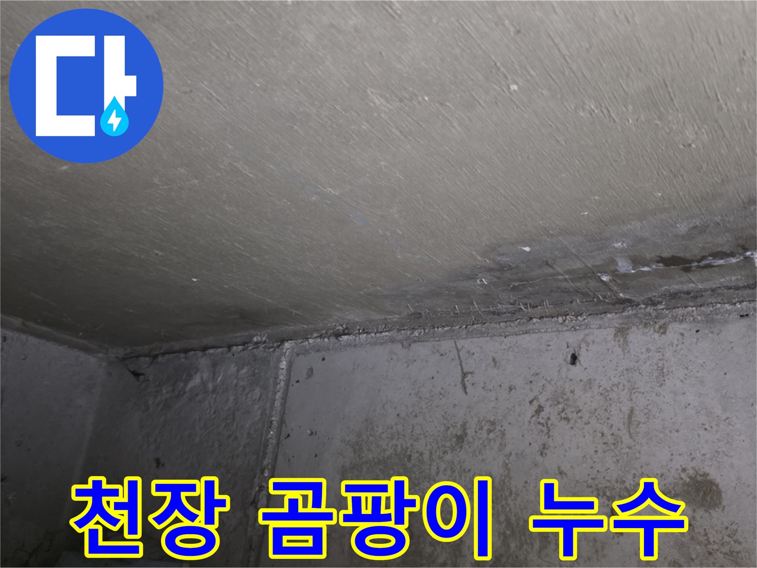 남양주 오남읍 아파트 천장 곰팡이 - 누수 흔적
