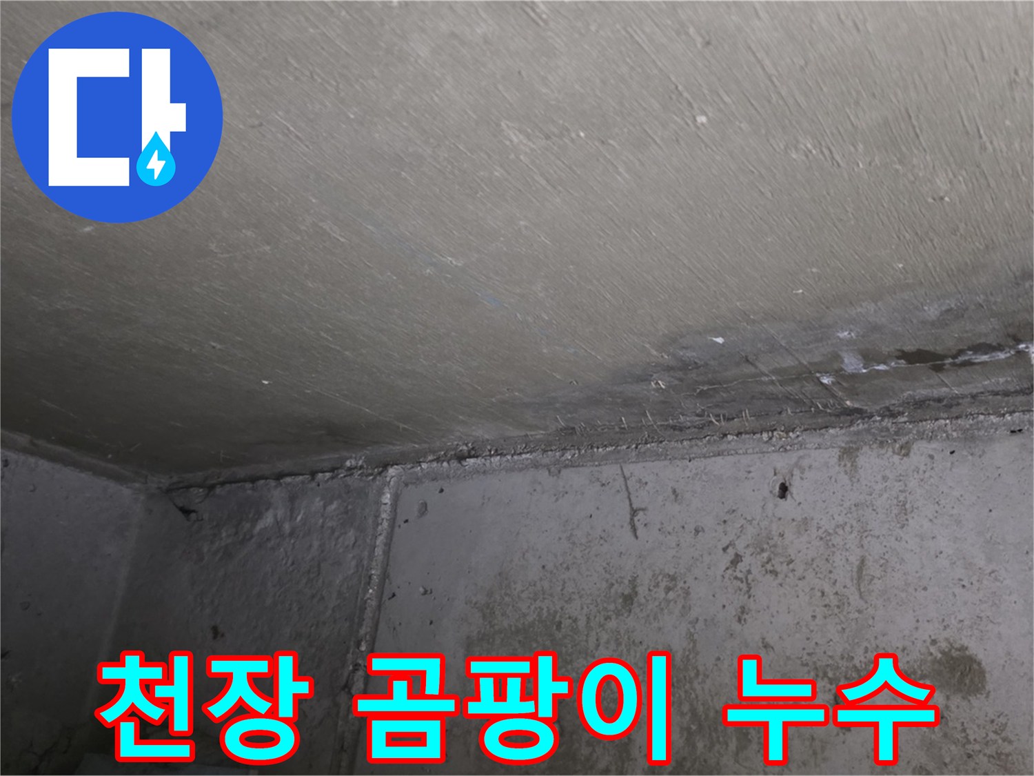 남양주 오남읍 아파트 천장 곰팡이 - 누수 흔적