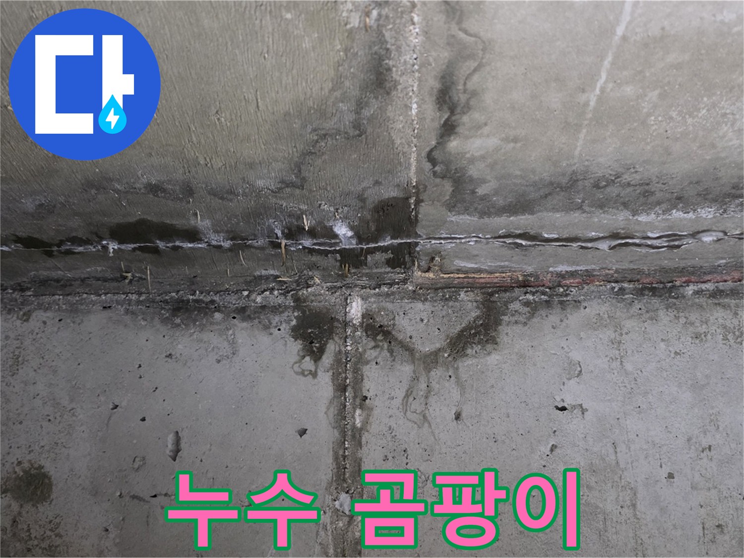 남양주 오남읍 아파트 누수 - 심하게 번진 곰팡이 확인