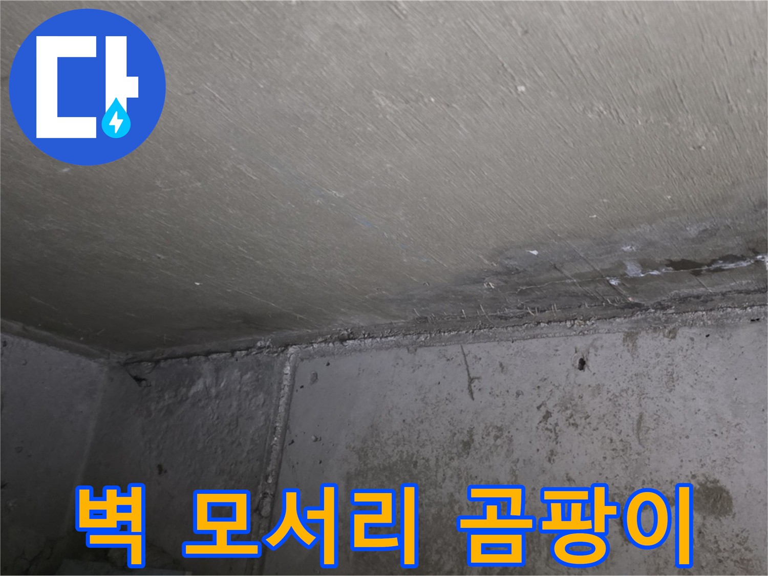 남양주 오남읍 두산아파트 벽 모서리 곰팡이 - 심각한 누수 의심