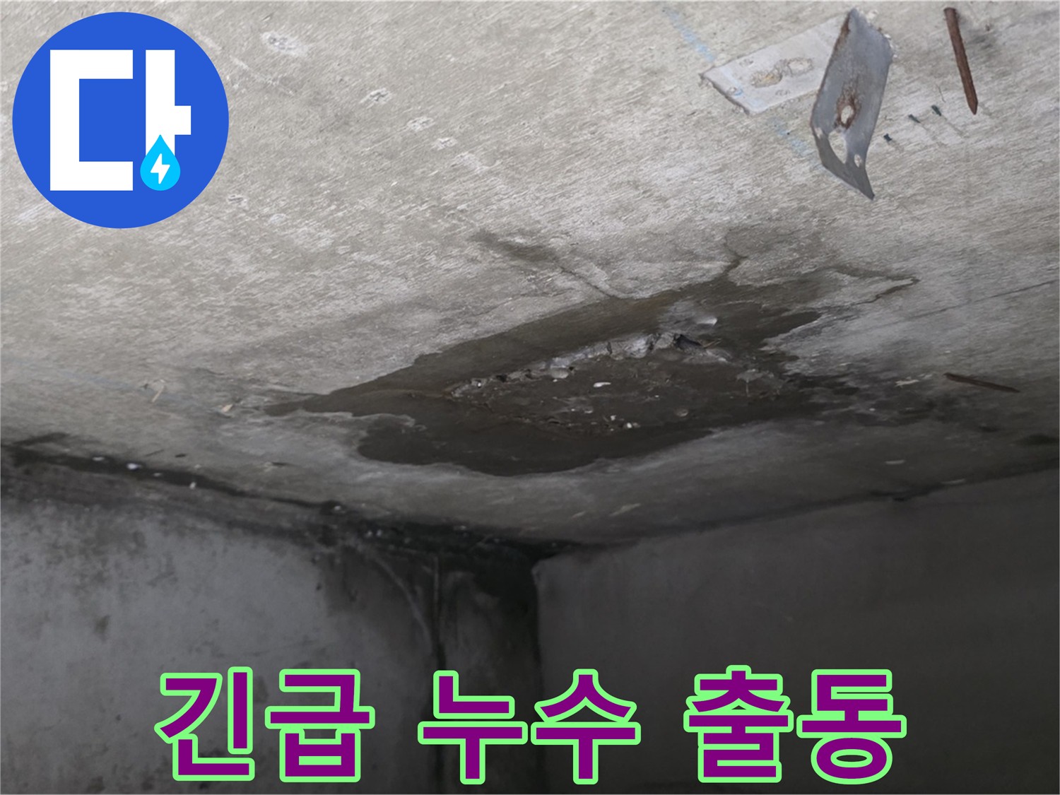 아래층 화장실 긴급 누수 - 천장 물 떨어짐