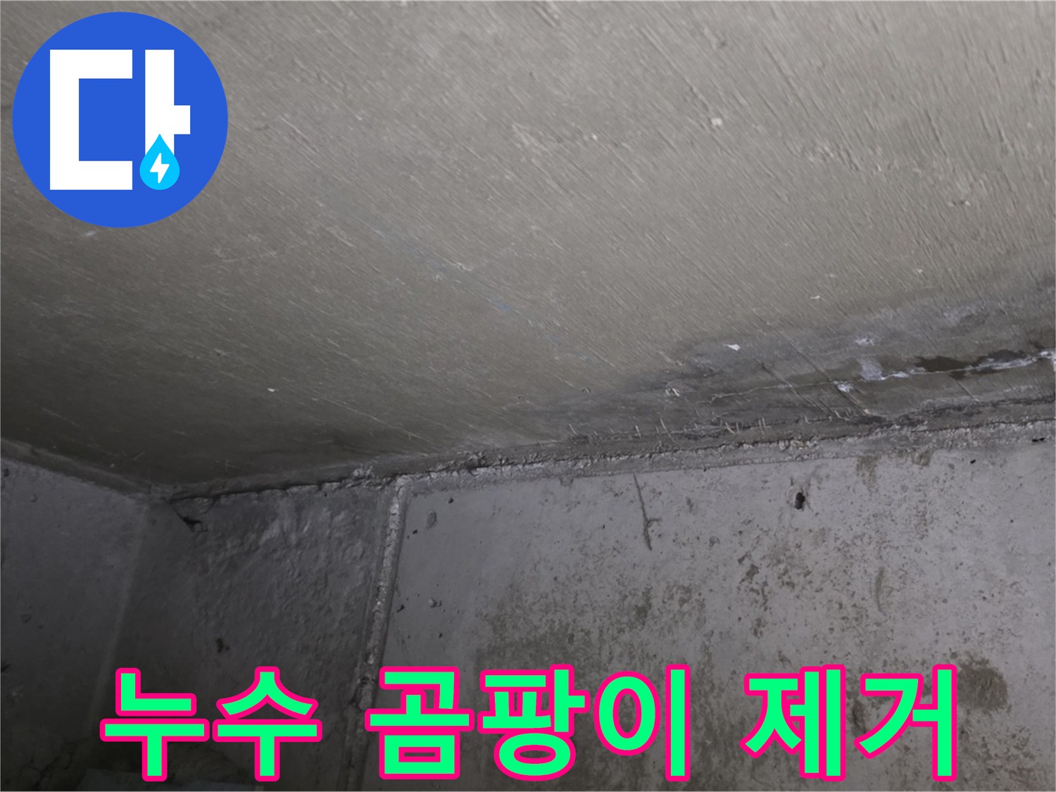 오남 두산아파트 누수 공사 후 천장 - 곰팡이 제거