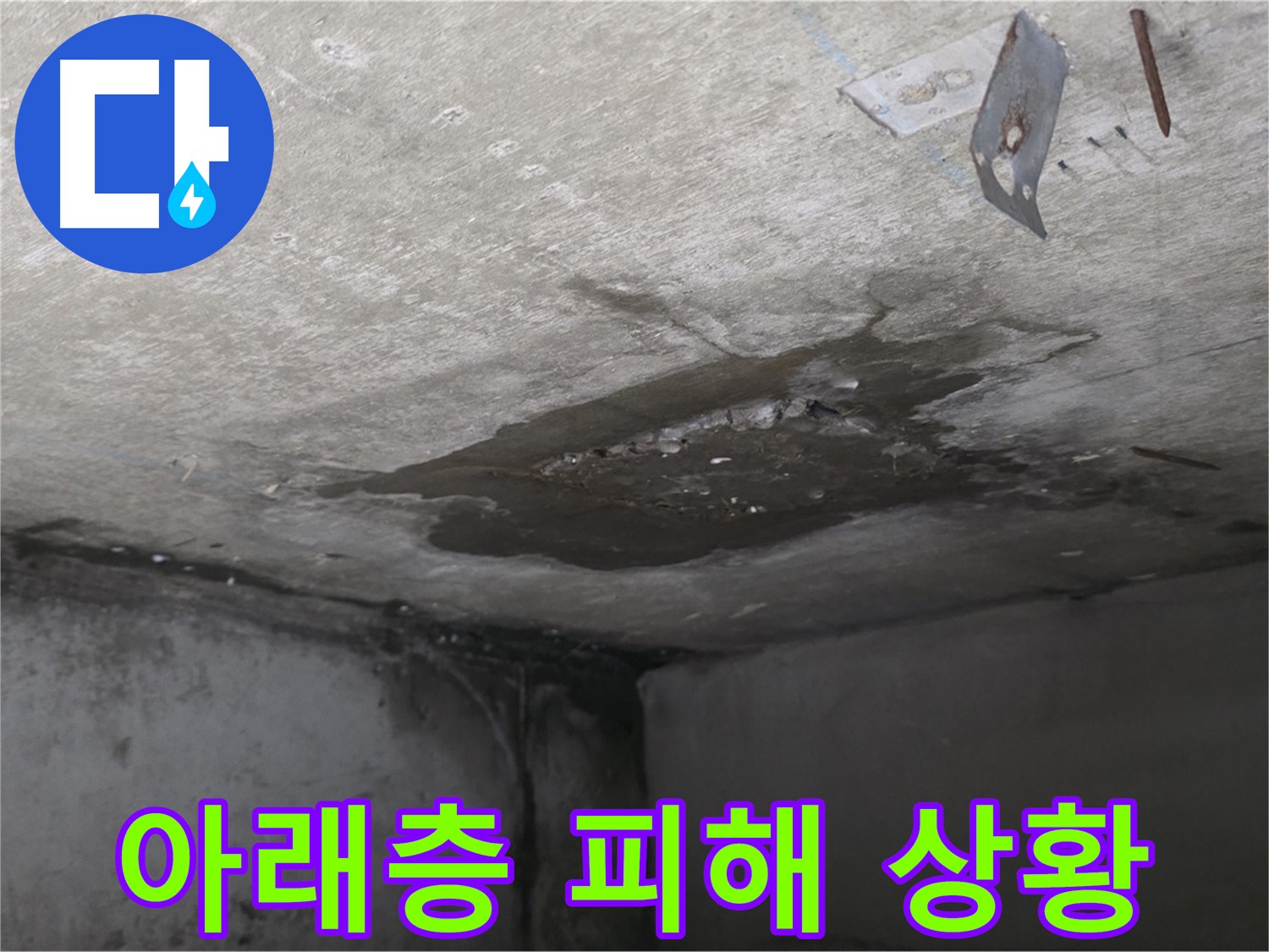 아래층 화장실 천장과 벽에 핀 곰팡이 - 남양주 오남 아파트 누수 피해 현장