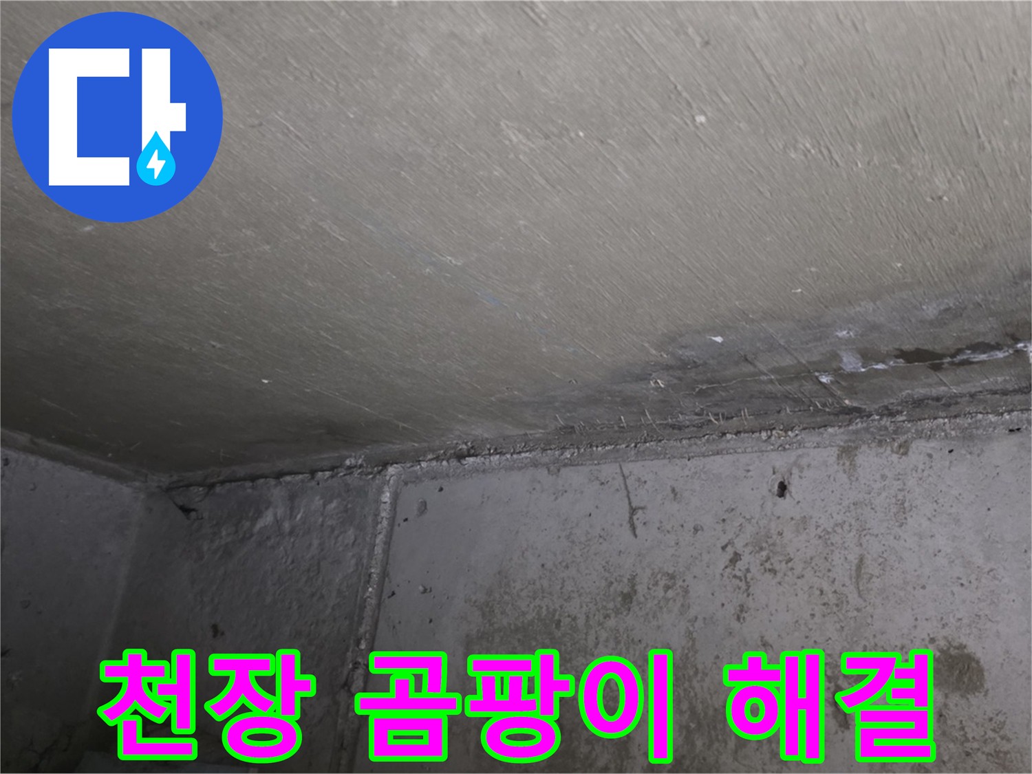 남양주 오남 두산아파트 천장 누수로 인한 곰팡이 - 누수탐지 및 방수 공사 필요