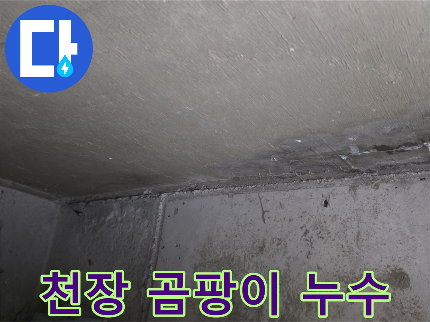 남양주 오남읍 아파트 천장 곰팡이 - 누수 흔적