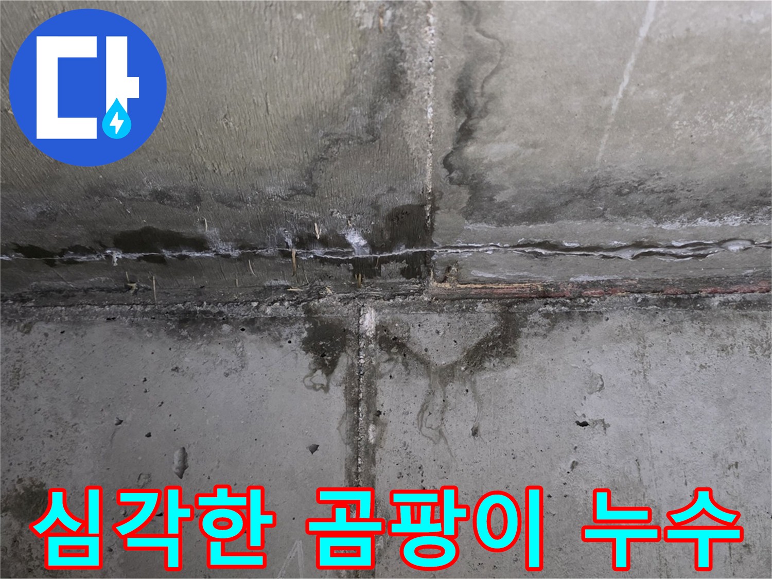 남양주 오남읍 아파트 누수 현장 - 곰팡이 발생 부위 확인