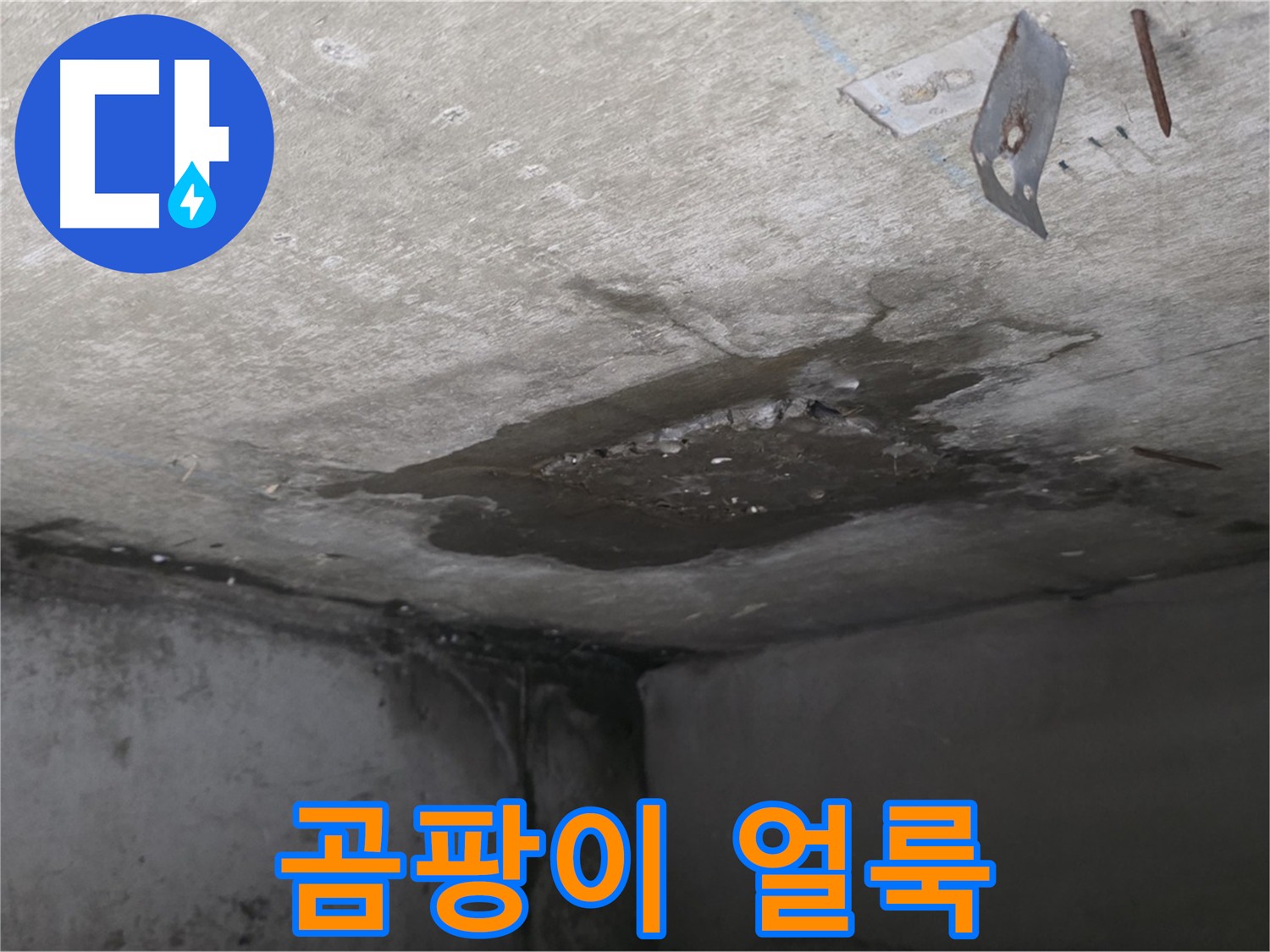 아래층 화장실 곰팡이 얼룩 - 심각한 누수 흔적