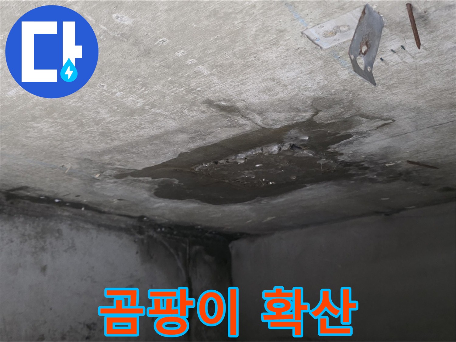 계속 확산되는 아래층 화장실 곰팡이 - 남양주 오남 아파트 누수