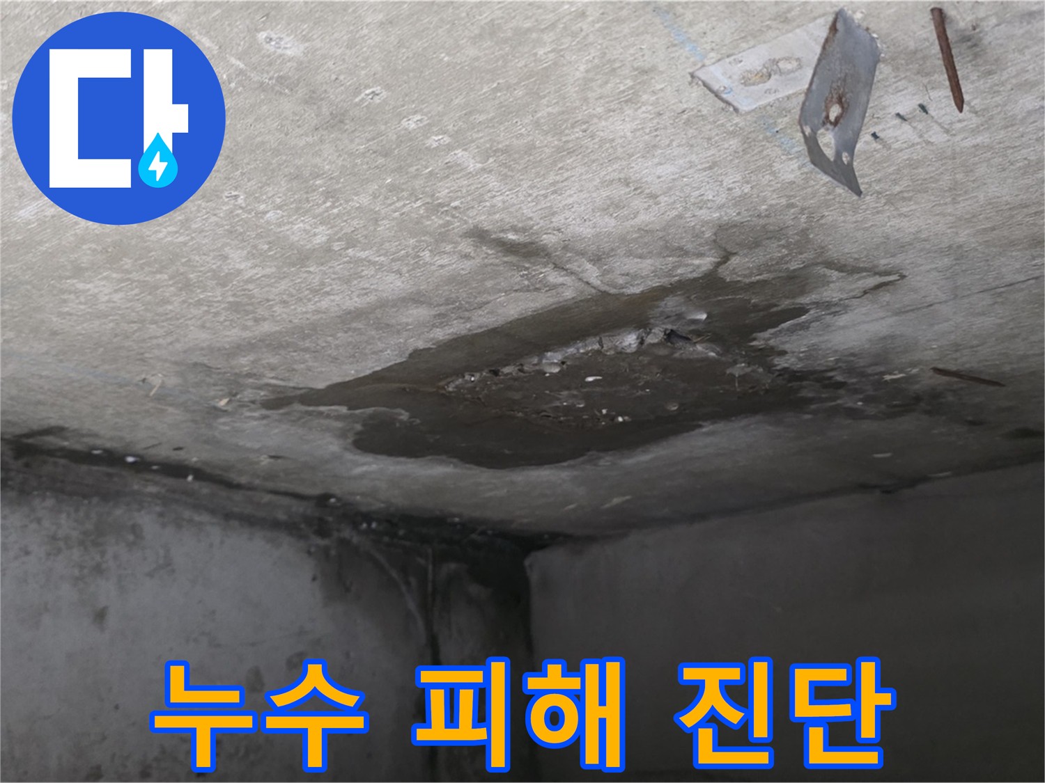 아래층 화장실 누수 피해 진단 - 젖은 정도와 곰팡이 상태 확인