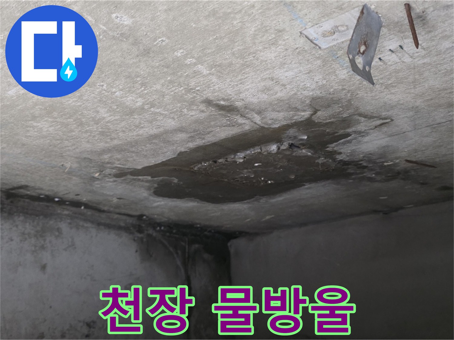 아래층 화장실 천장에서 떨어지는 물방울 - 남양주 오남 아파트 누수 긴급 상황