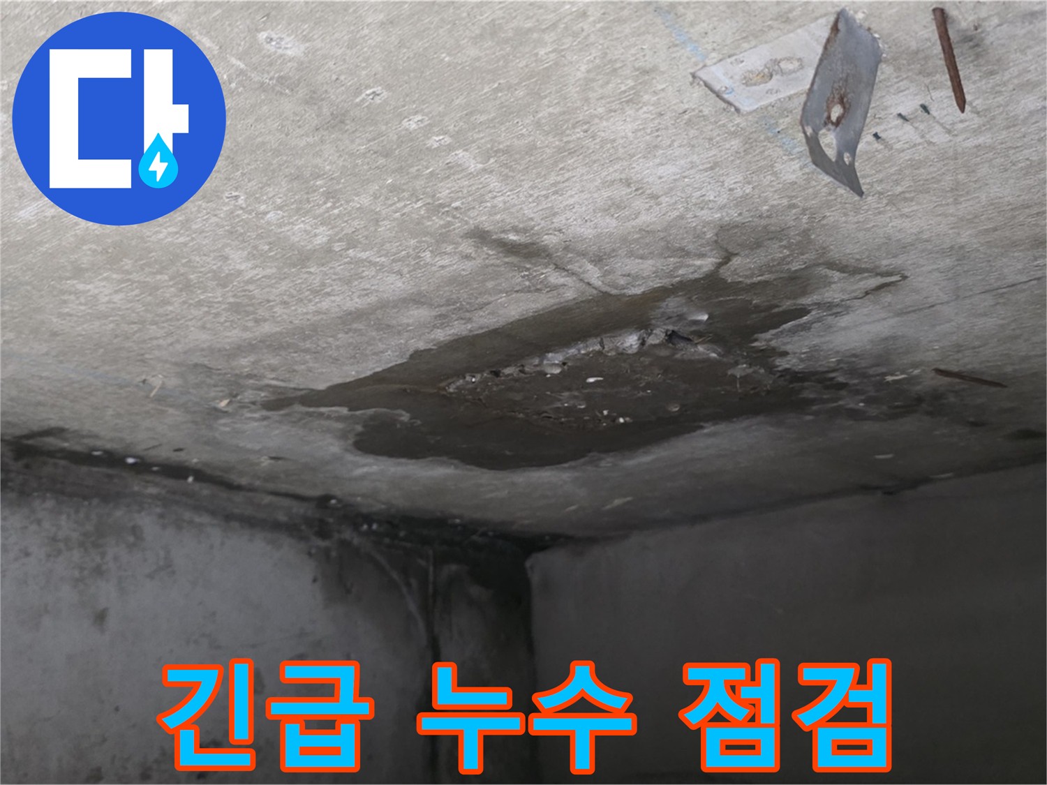 아래층 화장실 천장에서 물이 떨어지는 긴급 누수 현장 - 남양주 오남 아파트