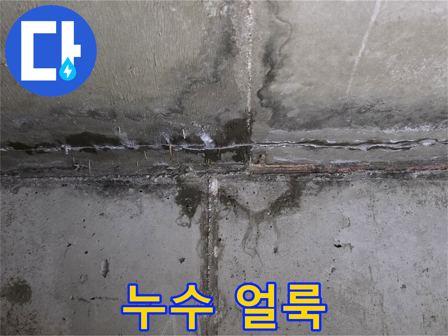 남양주 오남읍 아파트 누수 - 곰팡이 확산