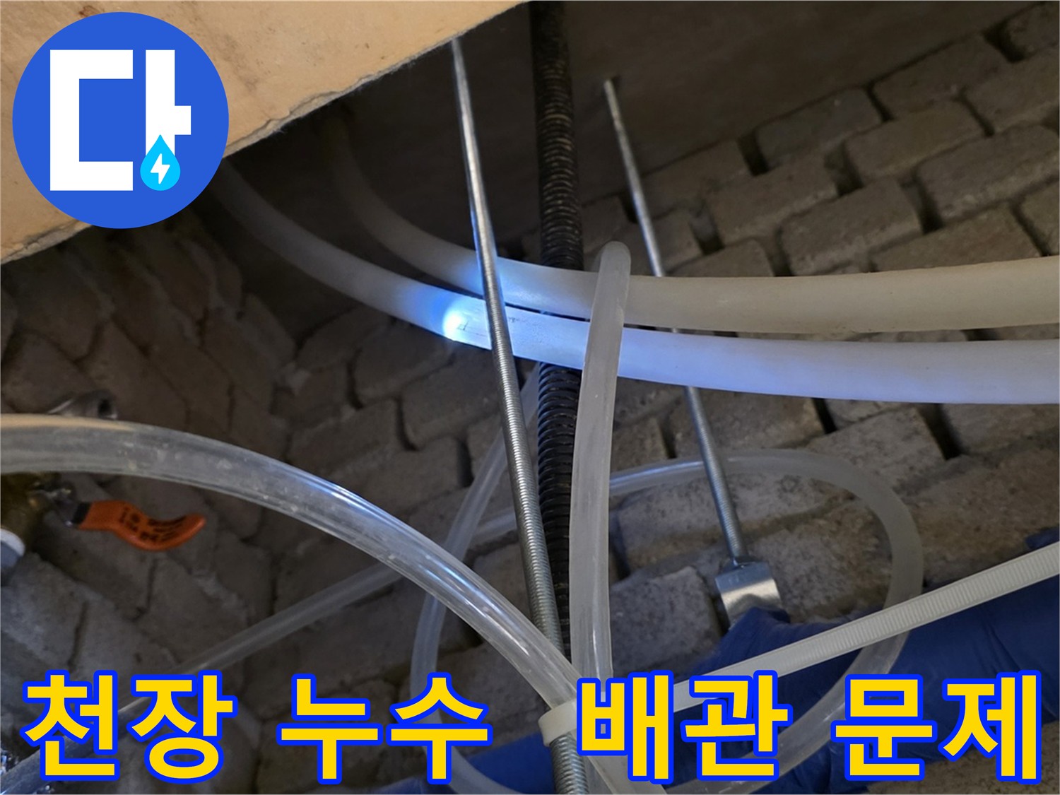 2층 화장실 천장 엑셀 배관 누수 - 누수 원인 꼼꼼하게 진단 및 해결