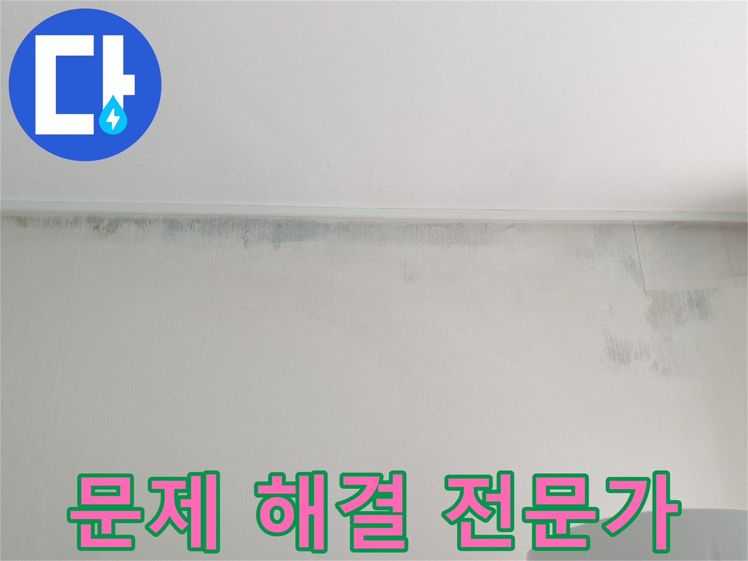 중계동 청구3차 아파트 벽 곰팡이 - 누수 문제 해결 전문가