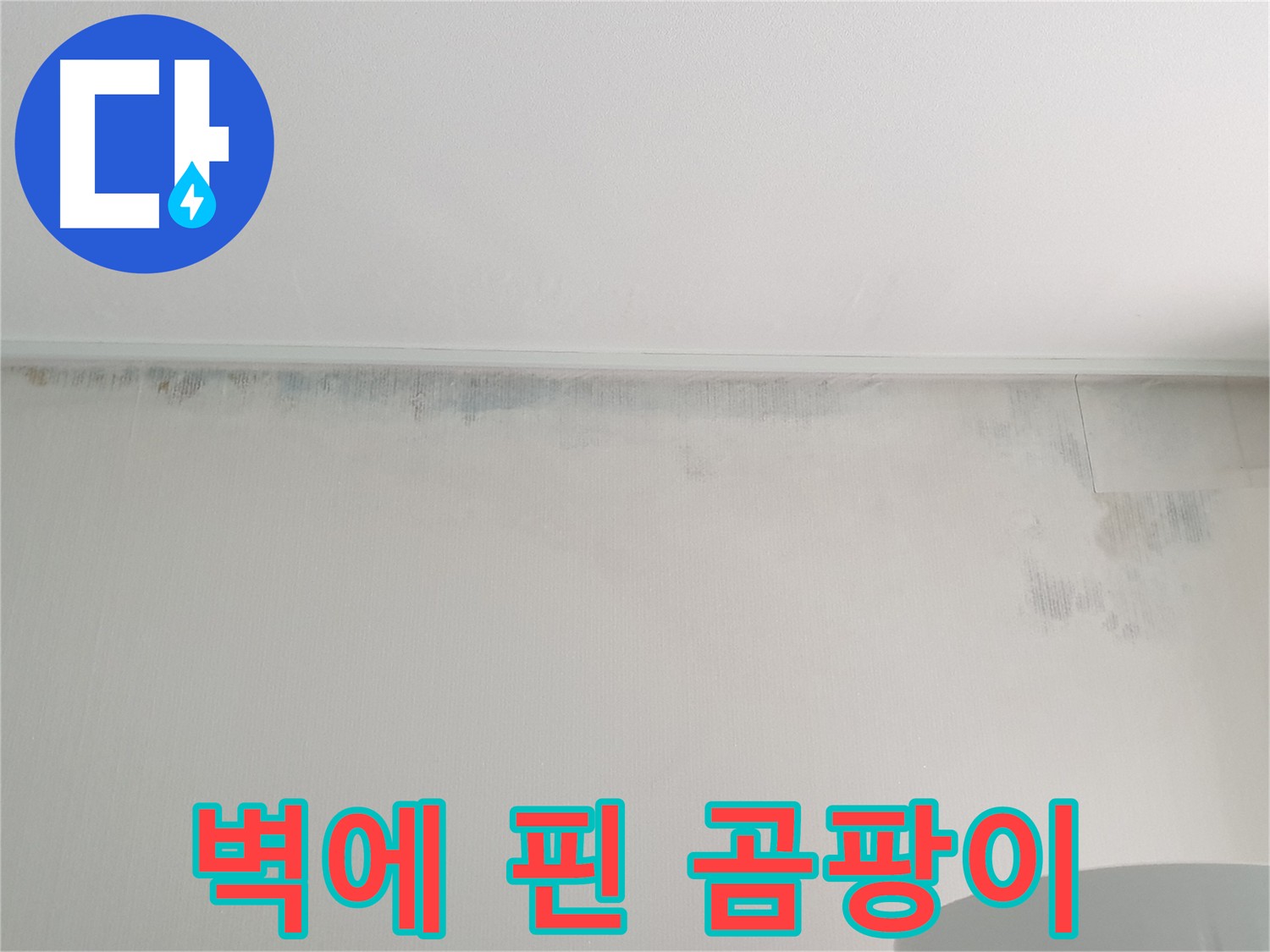 중계동 아파트 벽 누수 - 곰팡이의 흔적