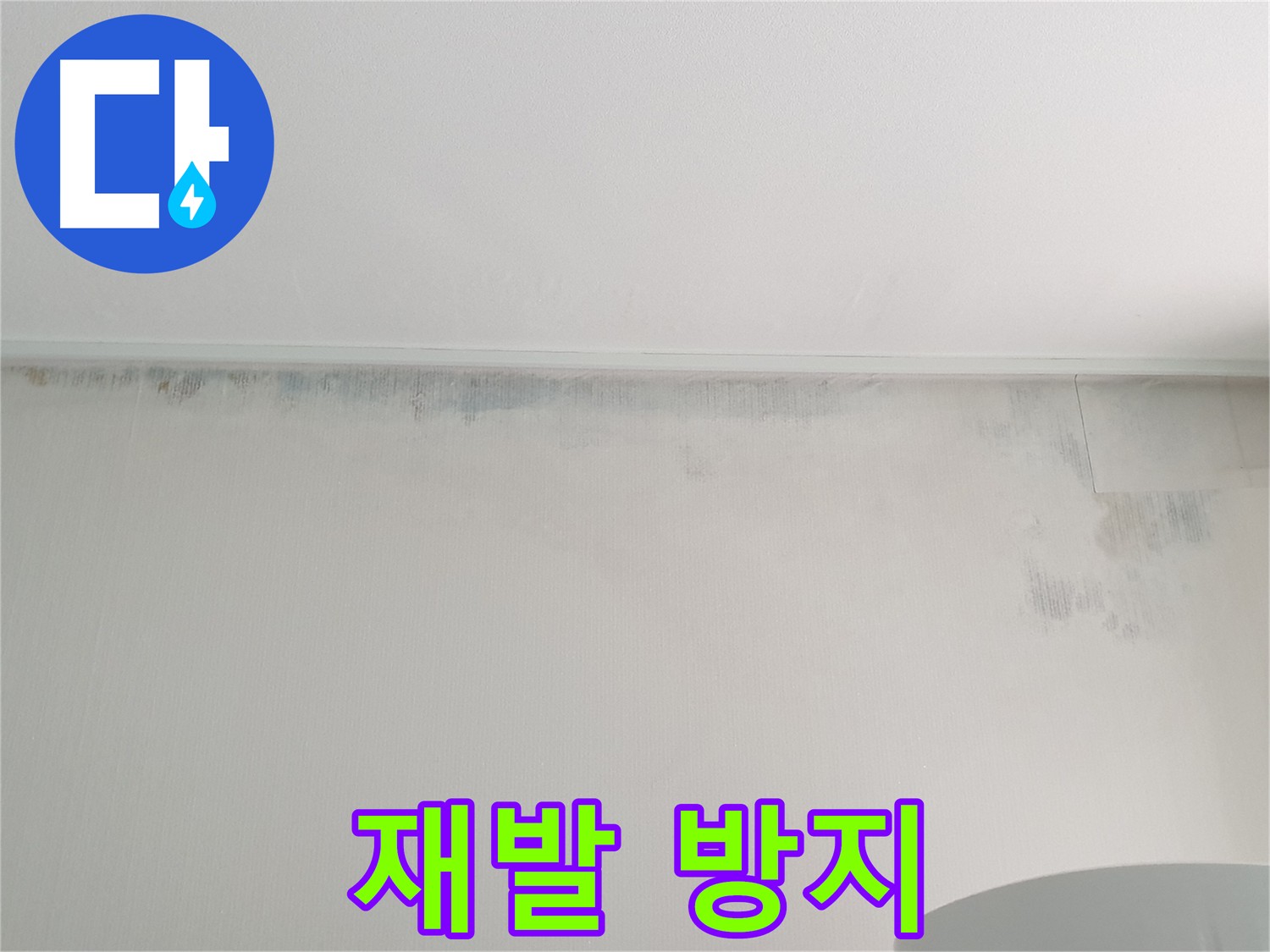 노원구 누수로 인한 곰팡이 피해 복구 사진