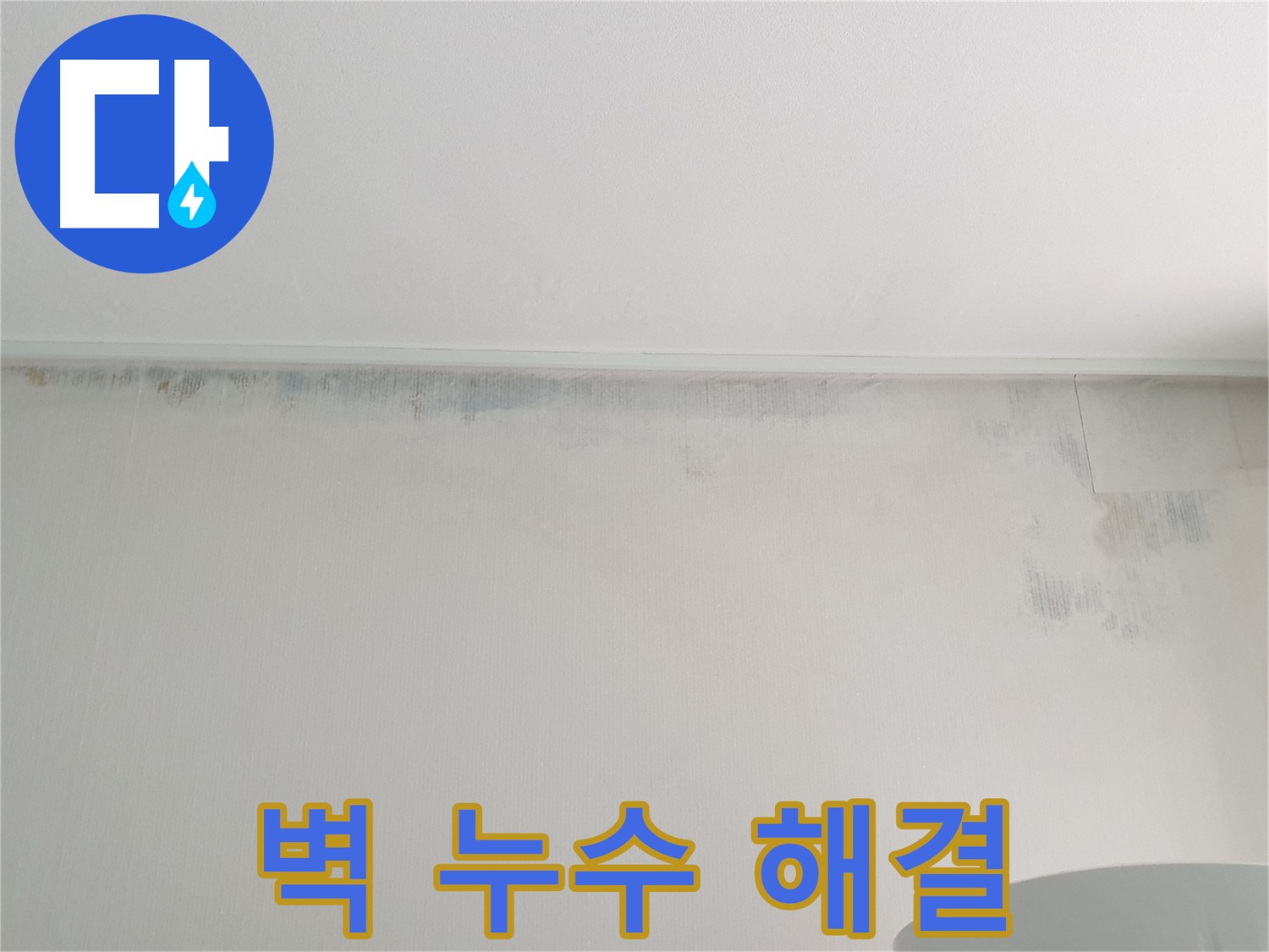 노원구 중계동 아파트 벽 누수 - 곰팡이 문제 해결
