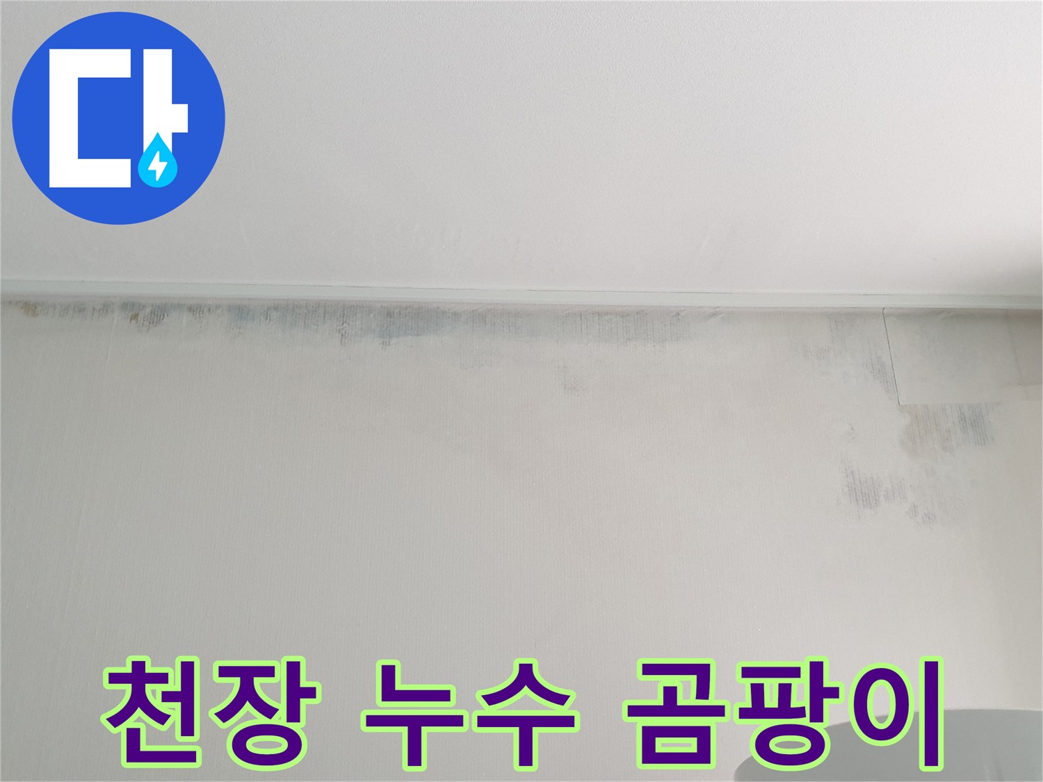 중계동 아파트 천장 곰팡이 - 누수 흔적으로 인한 문제