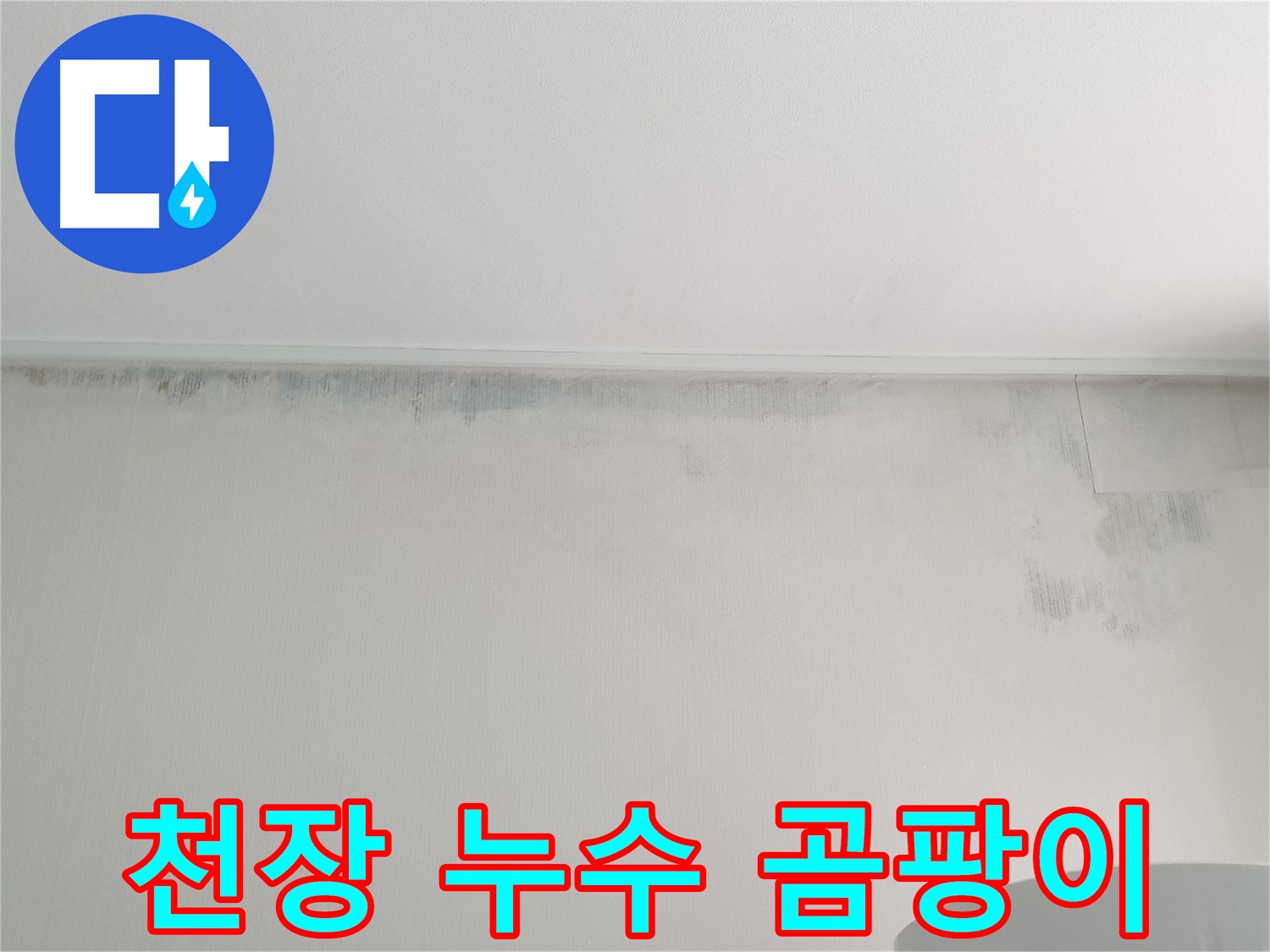 중계동 아파트 천장 곰팡이 - 누수 흔적으로 인한 문제