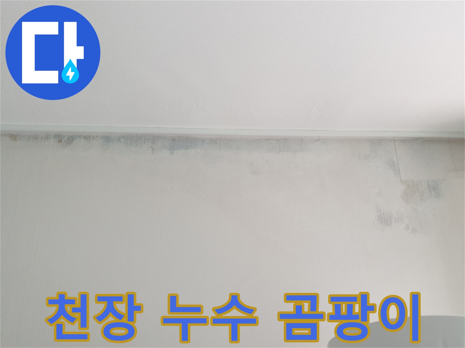 중계동 아파트 천장 곰팡이 - 누수 흔적으로 인한 문제