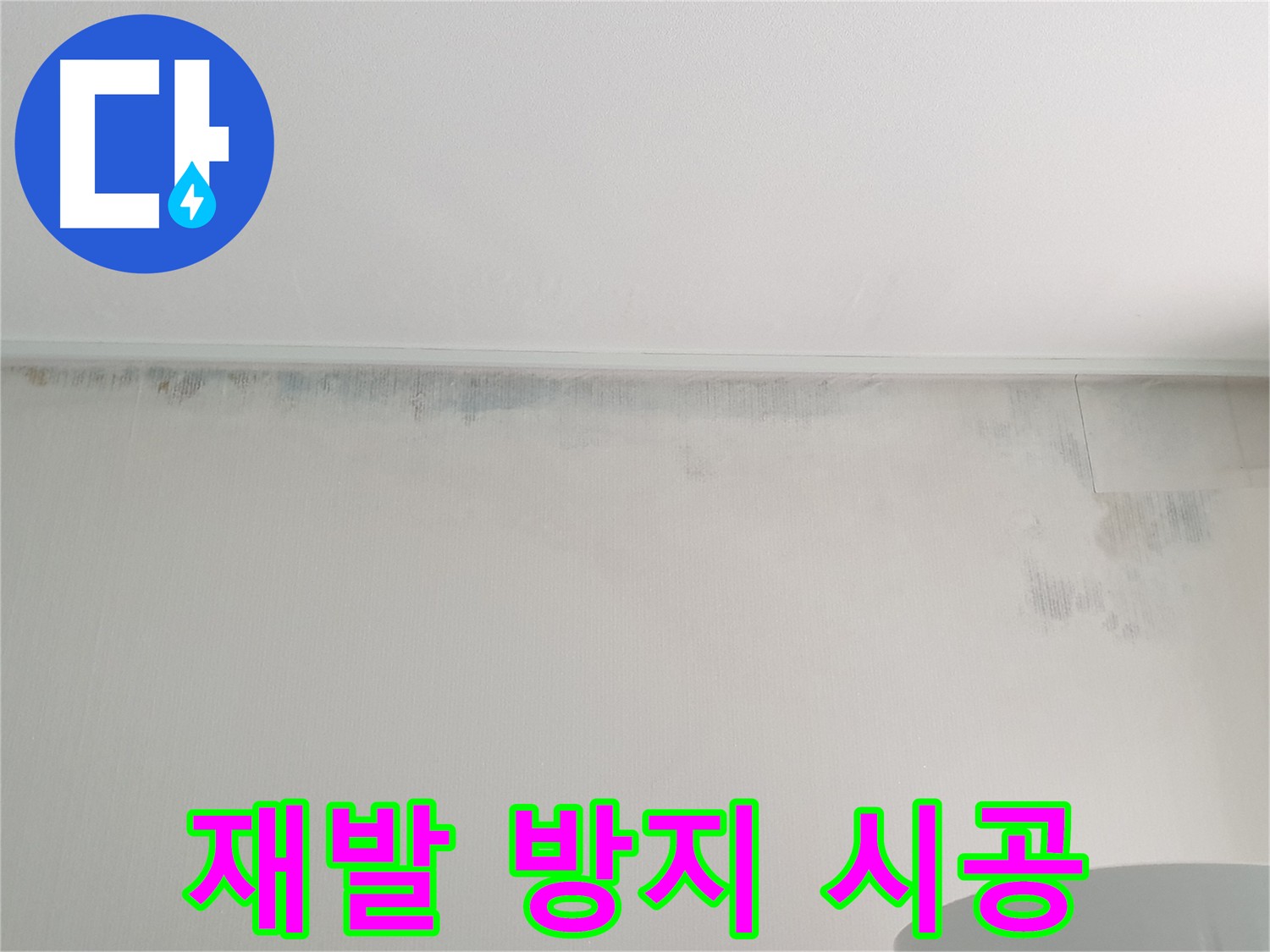 중계동 아파트 벽 곰팡이 사진