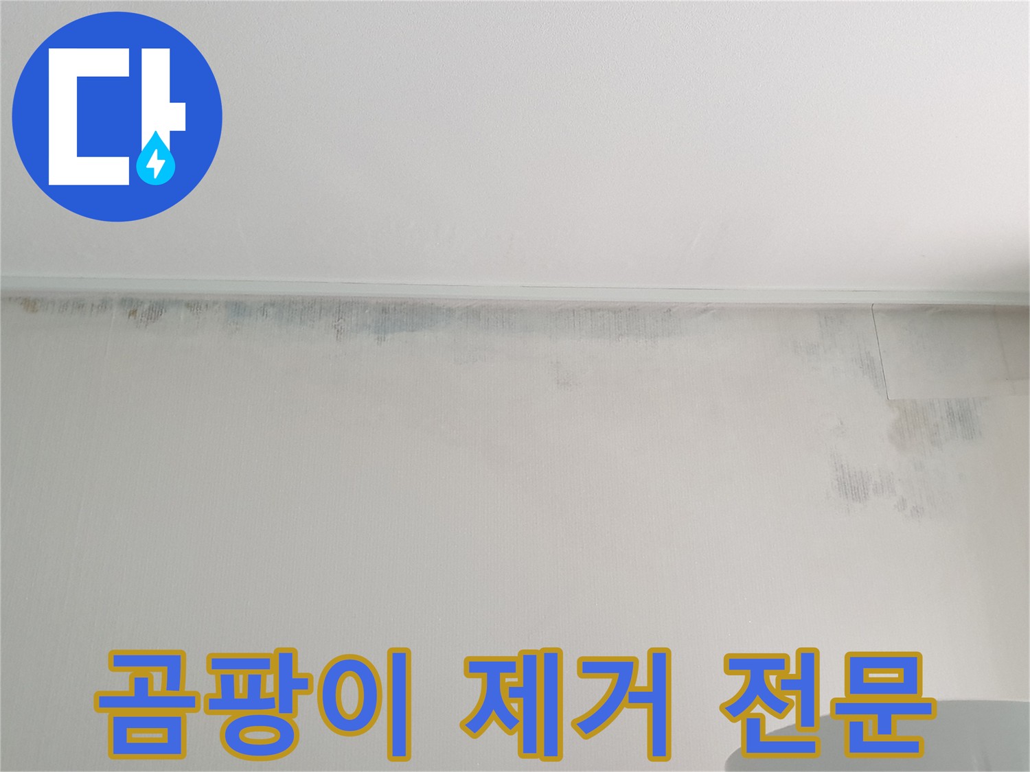 노원구 중계동 아파트 벽 누수 - 곰팡이 제거 및 방지 전문
