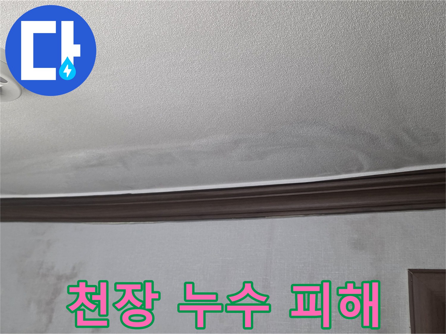 천장 누수로 인한 벽과 몰딩 손상 - 강북구 미아동 빌라 누수 현장