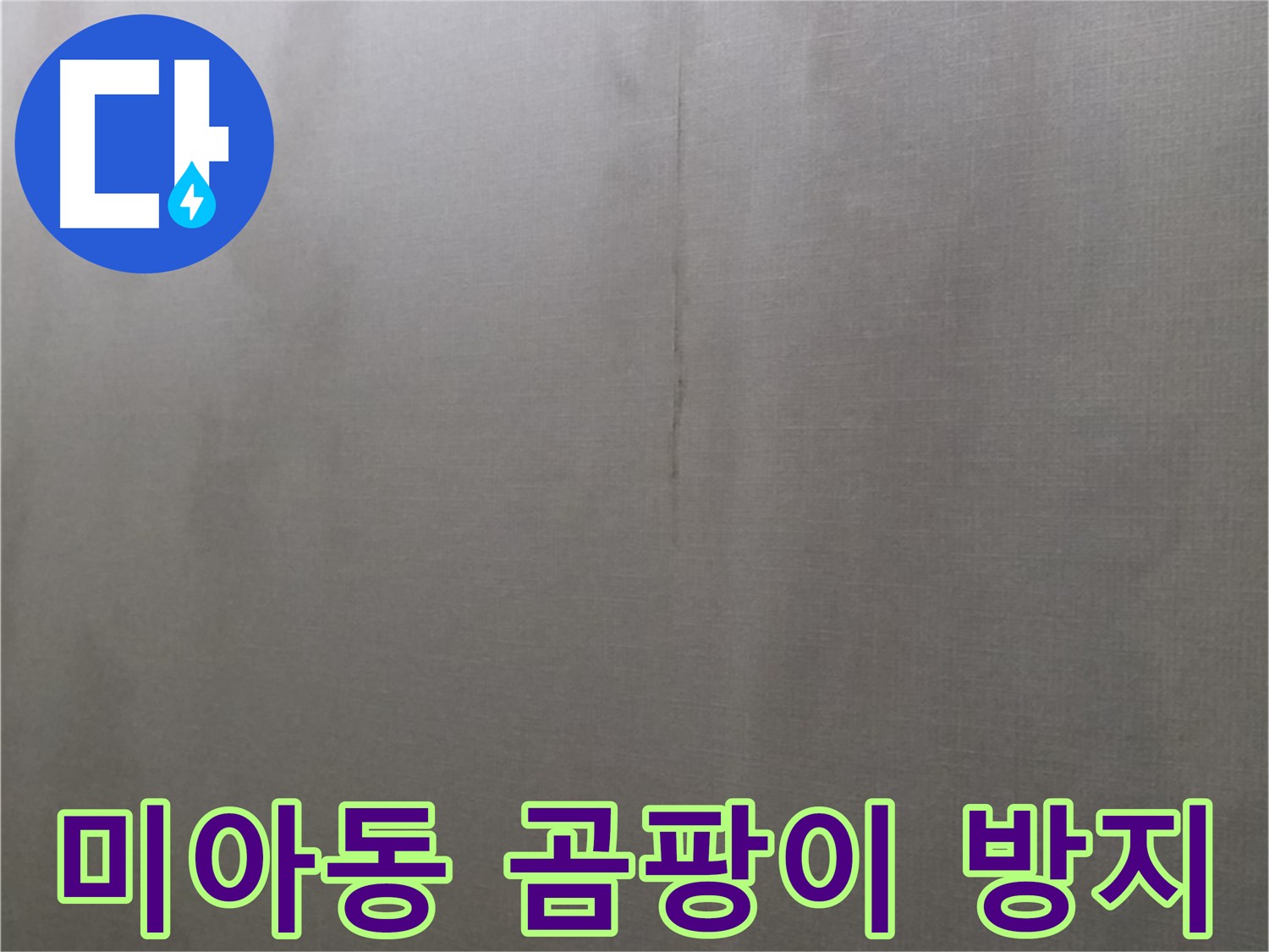 미아동 빌라 누수 - 곰팡이 확산과 건강 문제 유발
