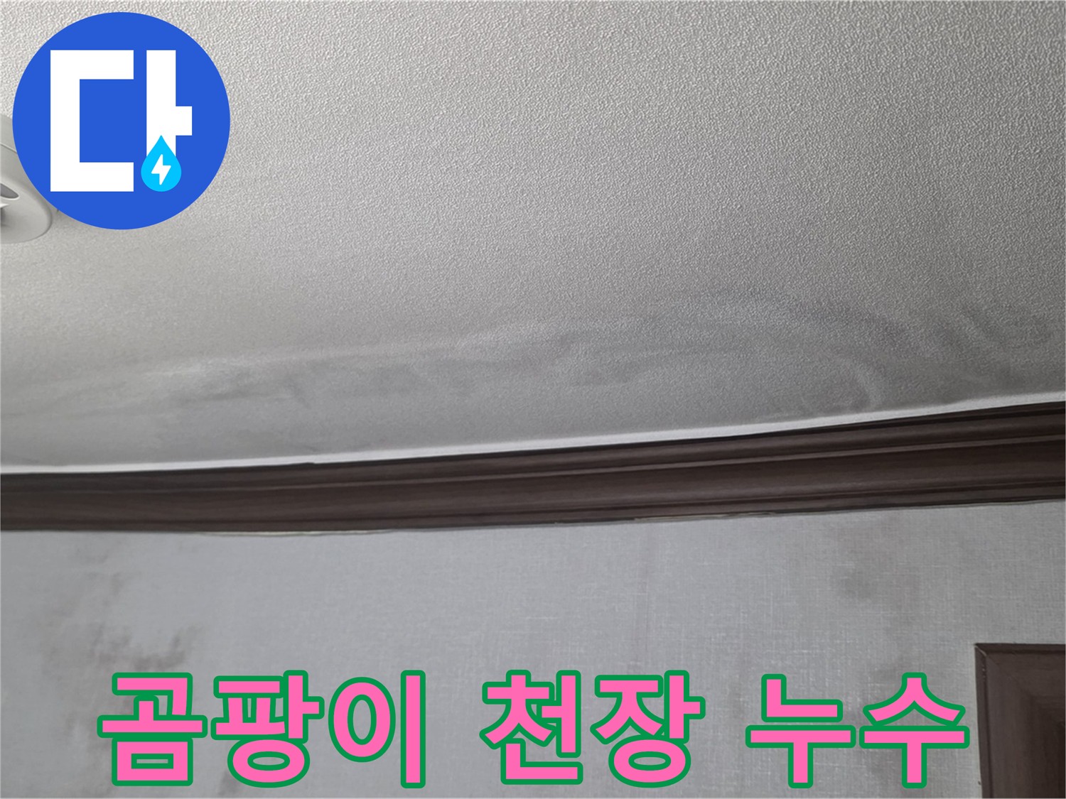 누수로 인한 천장 곰팡이 발생 - 강북구 미아동 빌라 누수 문제