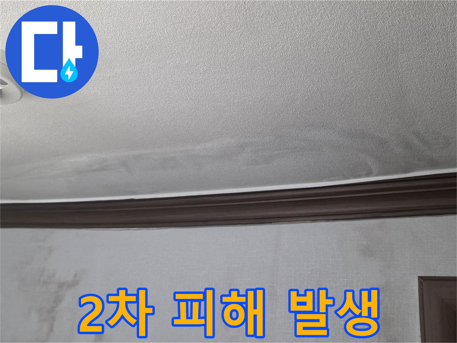 누수로 인한 2차 피해 - 벽지, 곰팡이, 몰딩 손상 - 강북구 미아동