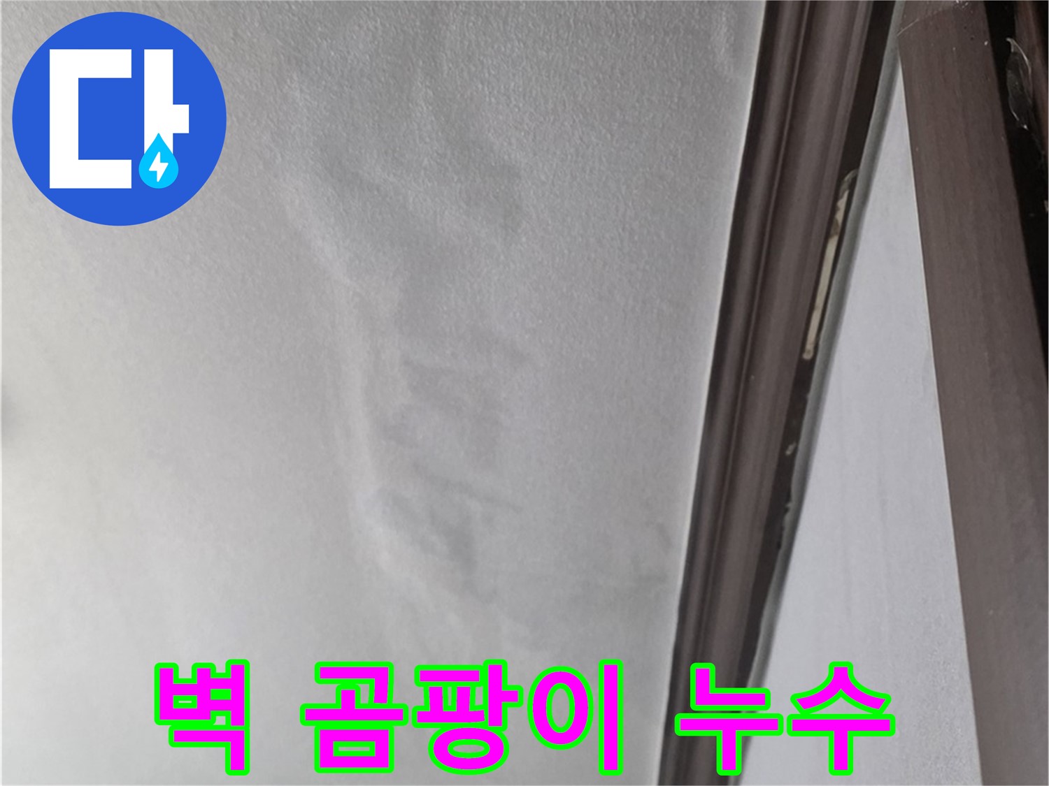 강북구 벽 누수 - 벽 곰팡이 발생