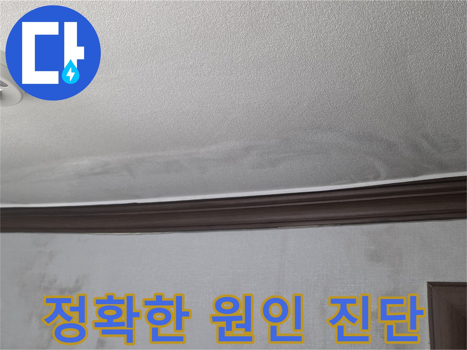 강북구 미아동 누수 탐지 - 옥상 방수 문제, 배관 노후, 결로 현상