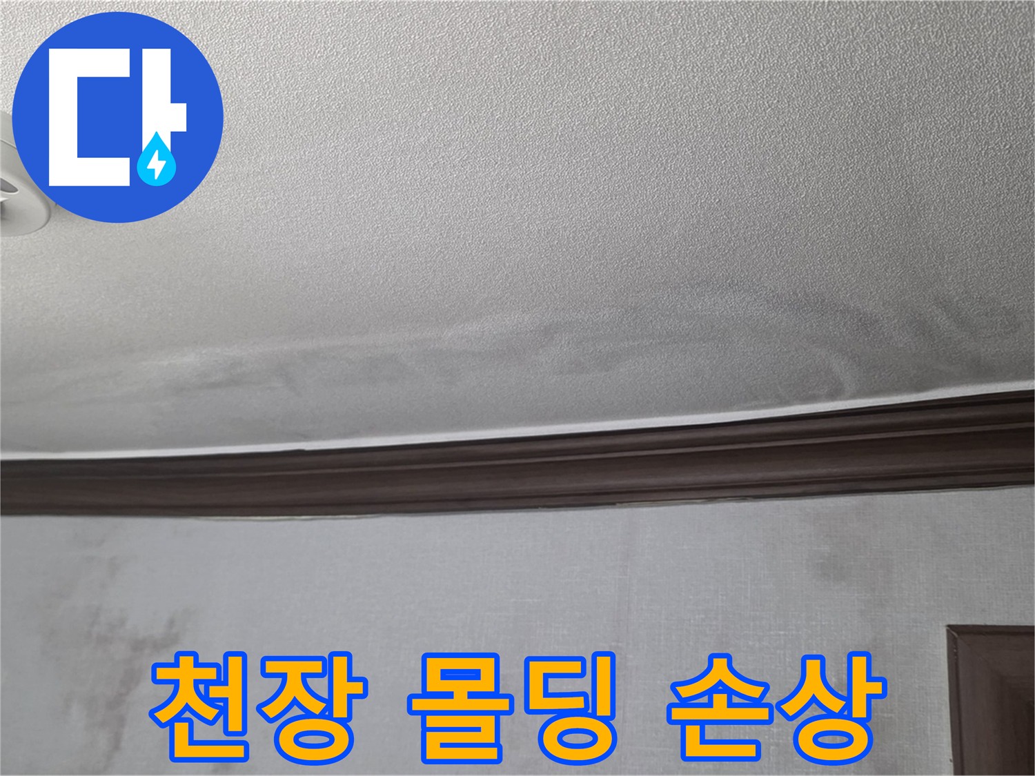 천장 몰딩 손상 및 곰팡이 확산 - 미아동 빌라 누수 피해