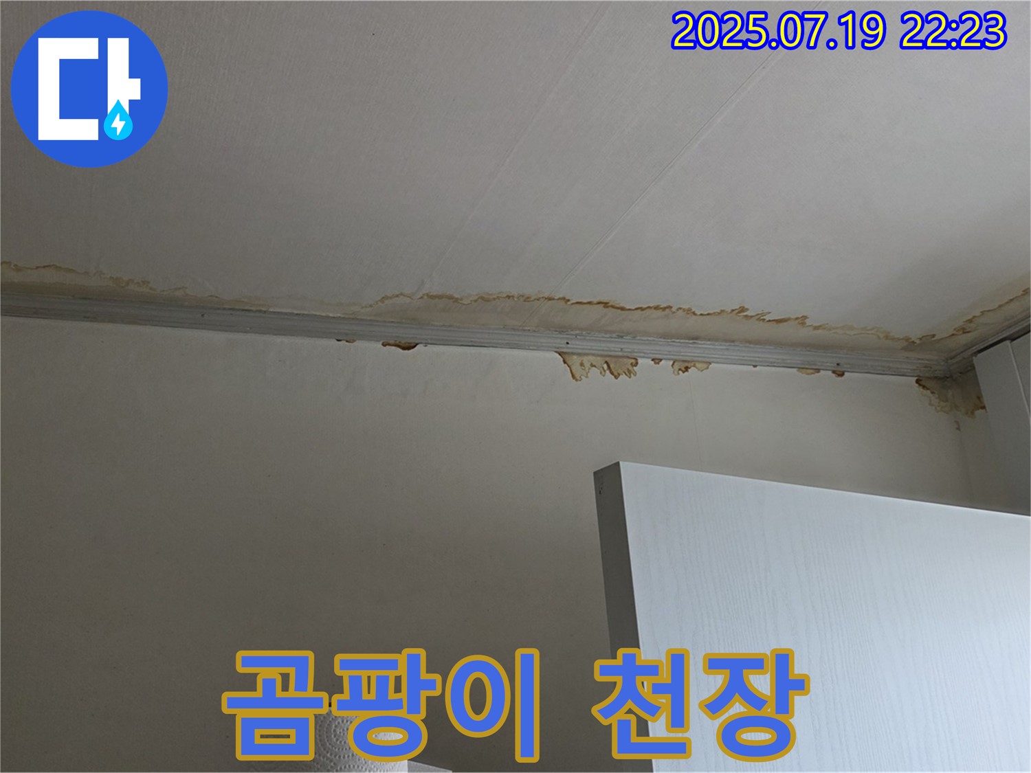 사릉로 누수 현장 - 곰팡이가 핀 천장