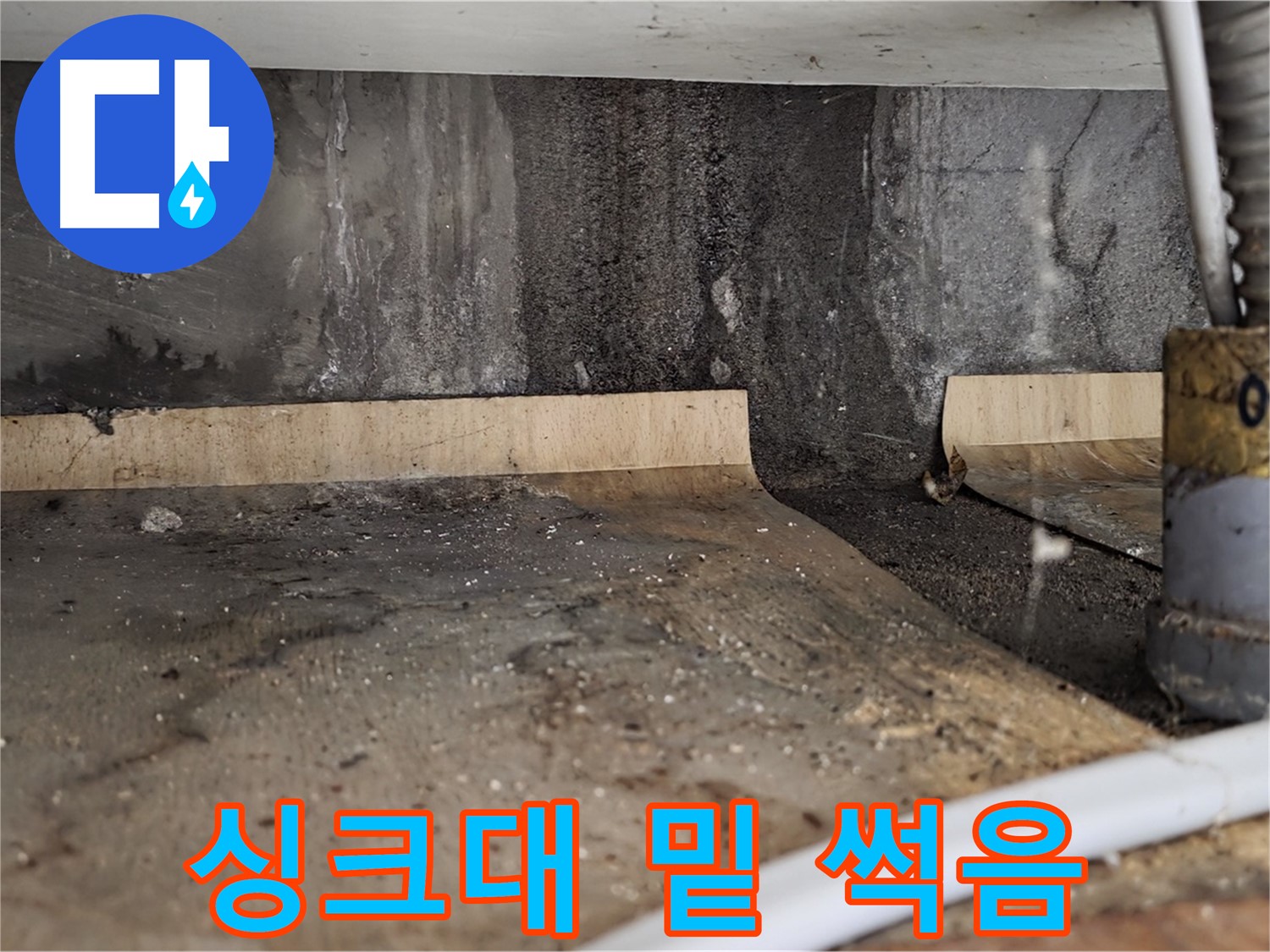 싱크대 밑 누수 - 썩은 나무 곰팡이