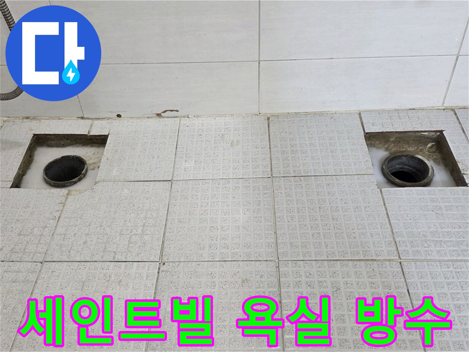 세인트빌 욕실 하수구 누수 곰팡이 제거 및 방지