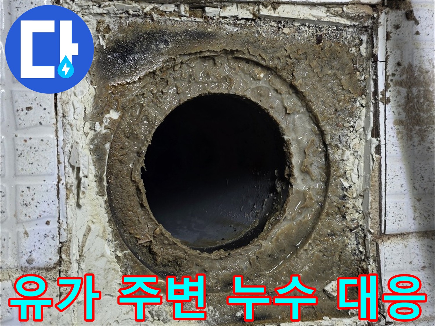 물이 고인 유가 - 방수층 손상으로 인한 물 침투