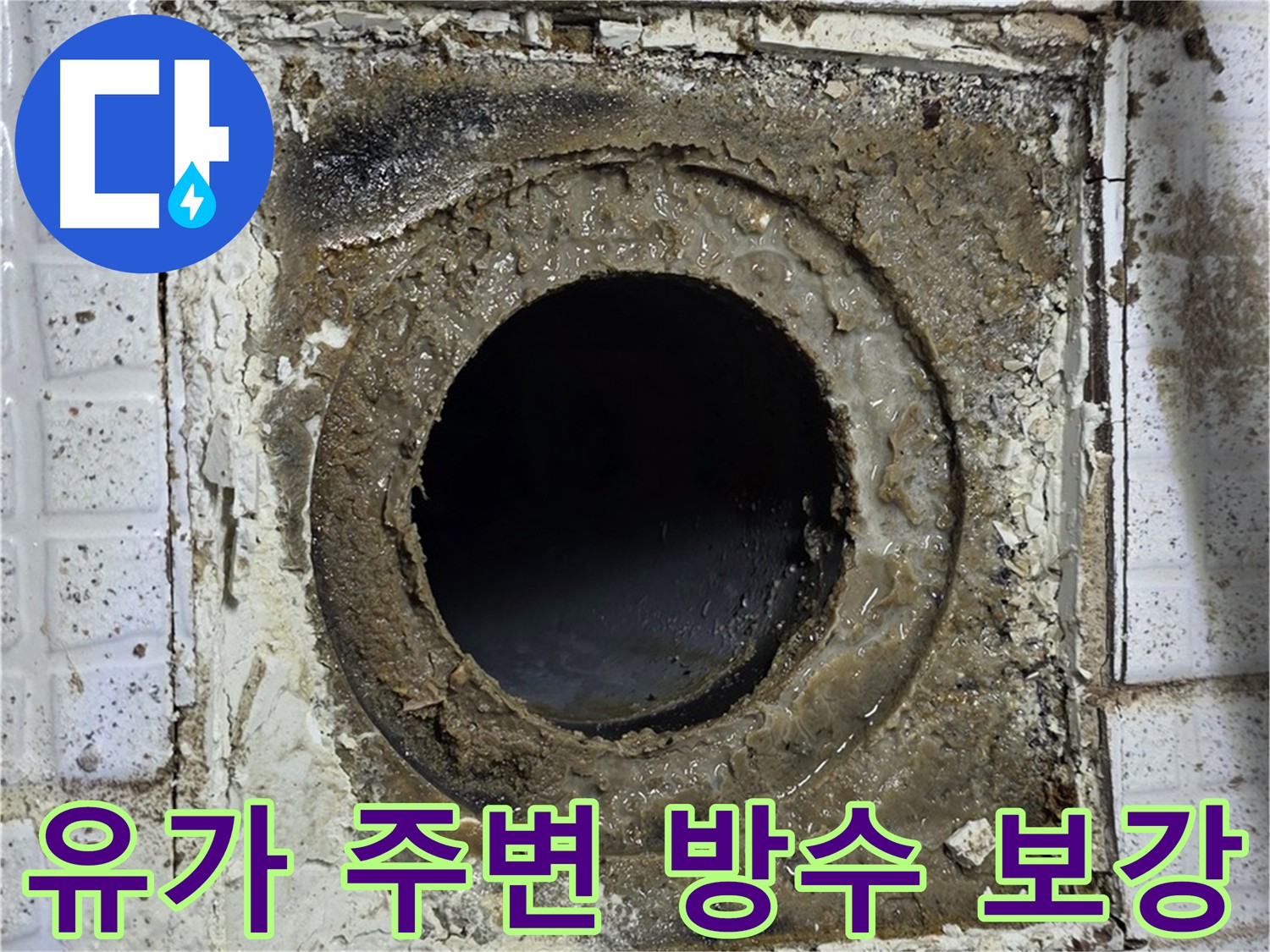 물이 고인 유가 - 방수층 문제로 인한 지속적인 물 유입
