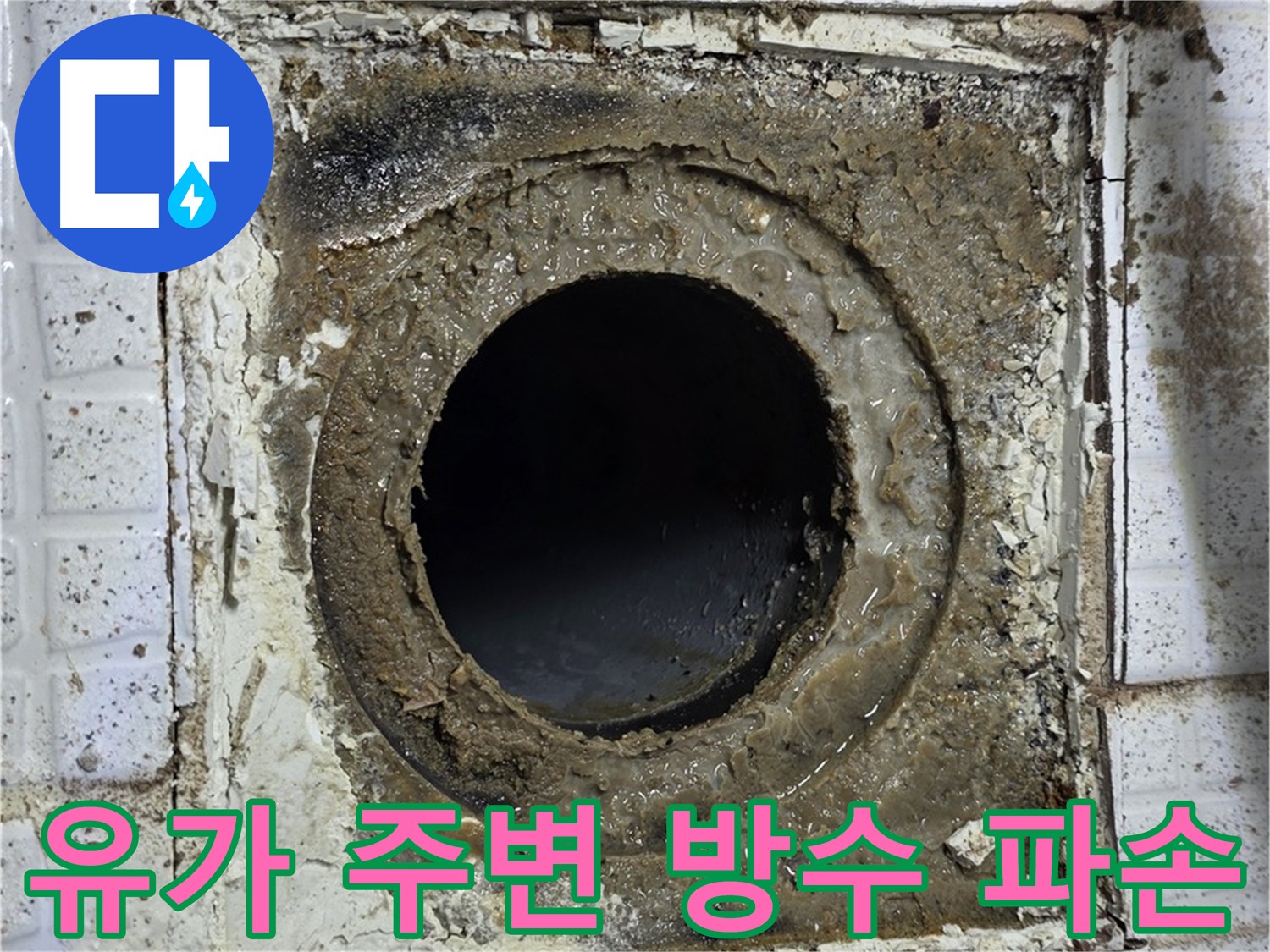 물이 고인 유가 - 방수층 손상으로 인한 누수 발생