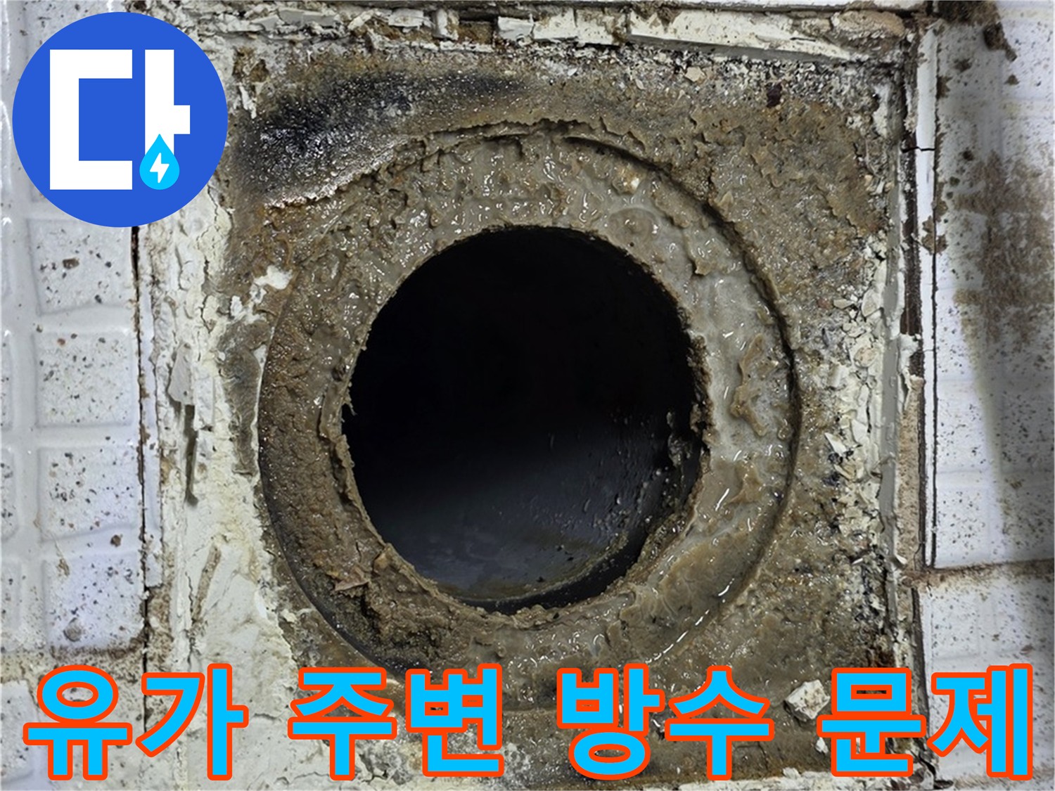과천시 누수 탐지 - 유가 주변 방수층 문제 확인