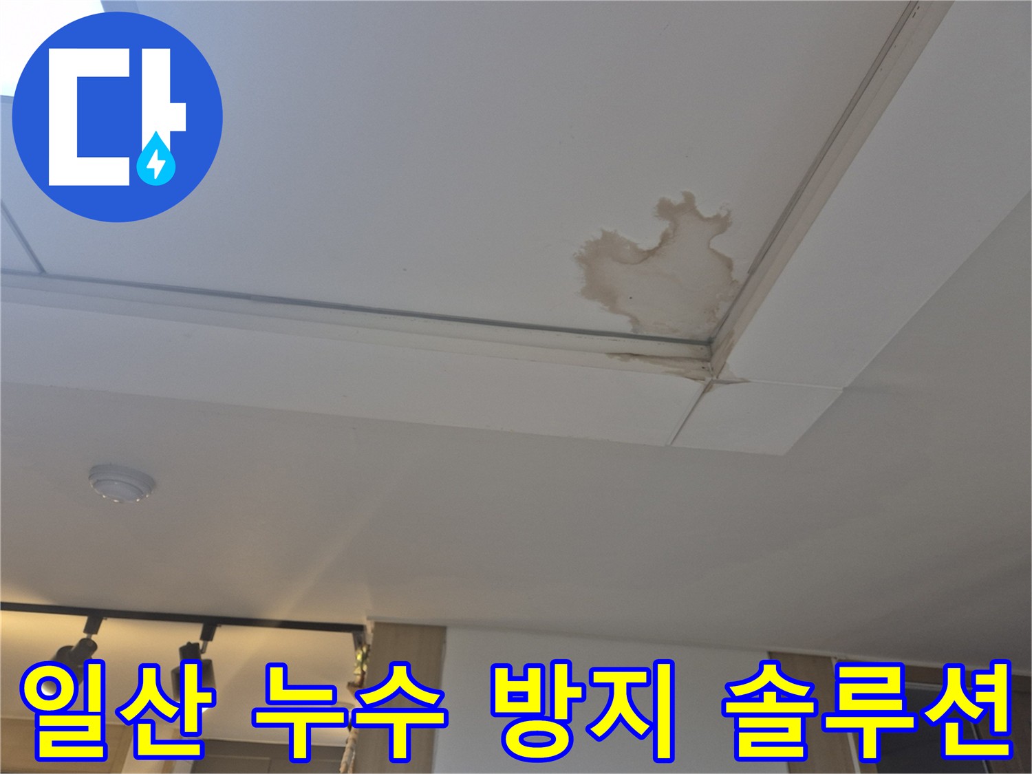 고양시 일산 천장 누수 맞춤형 솔루션 제공