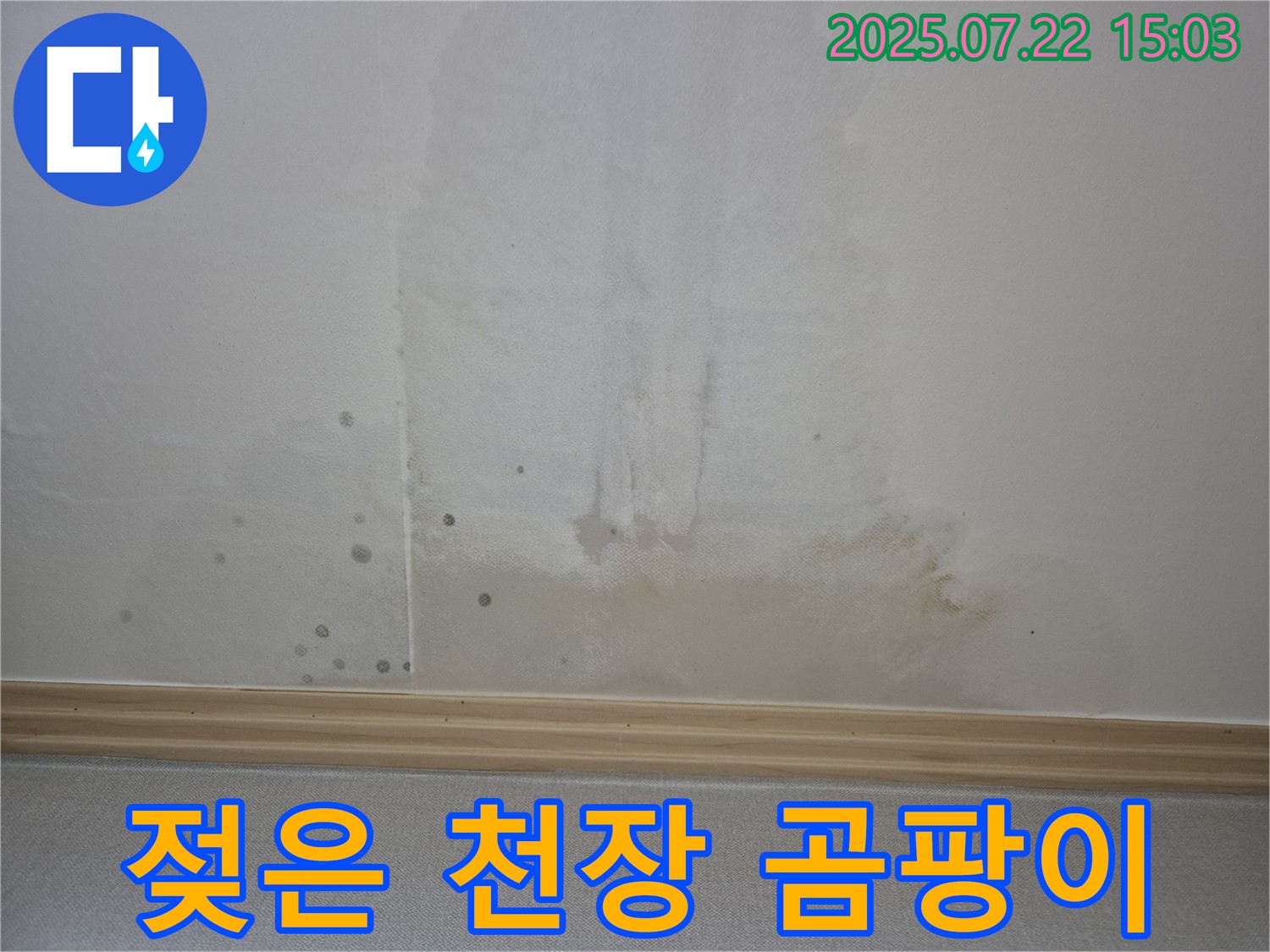 가좌2동 천장 누수 - 젖은 천장 곰팡이 발생 전 조치