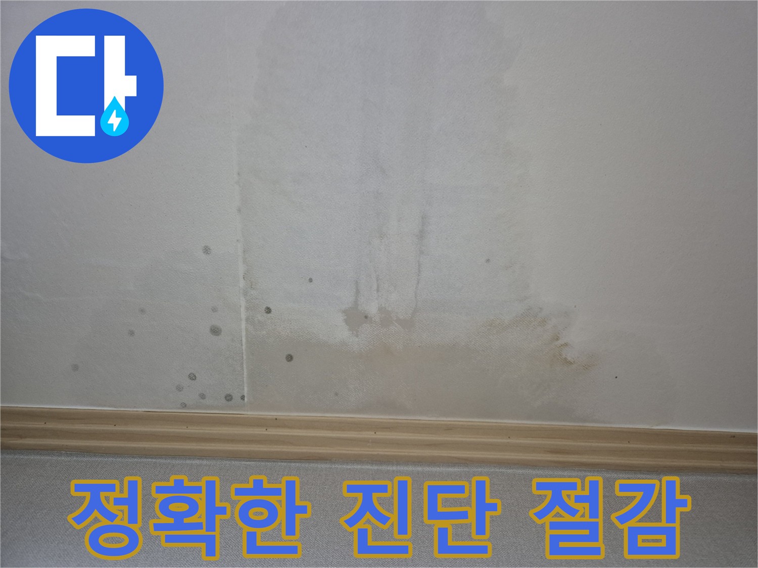 고양시 천장 누수 진단 - 최첨단 장비와 전문가 점검으로 정확한 진단